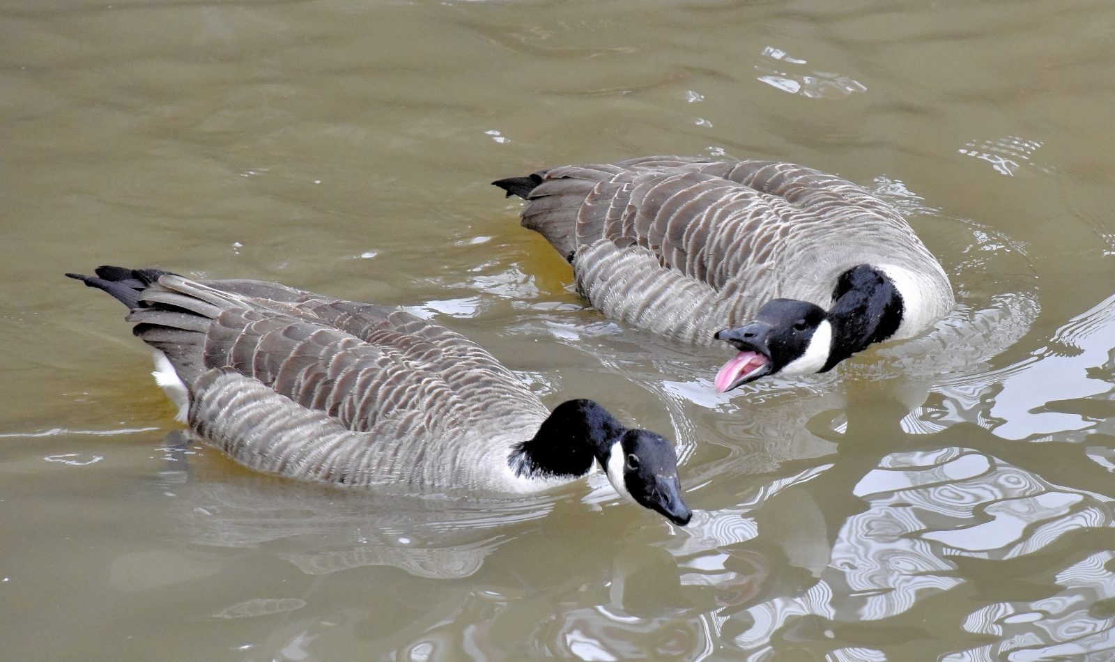 Valokuvaaja: Reijo Juurinen