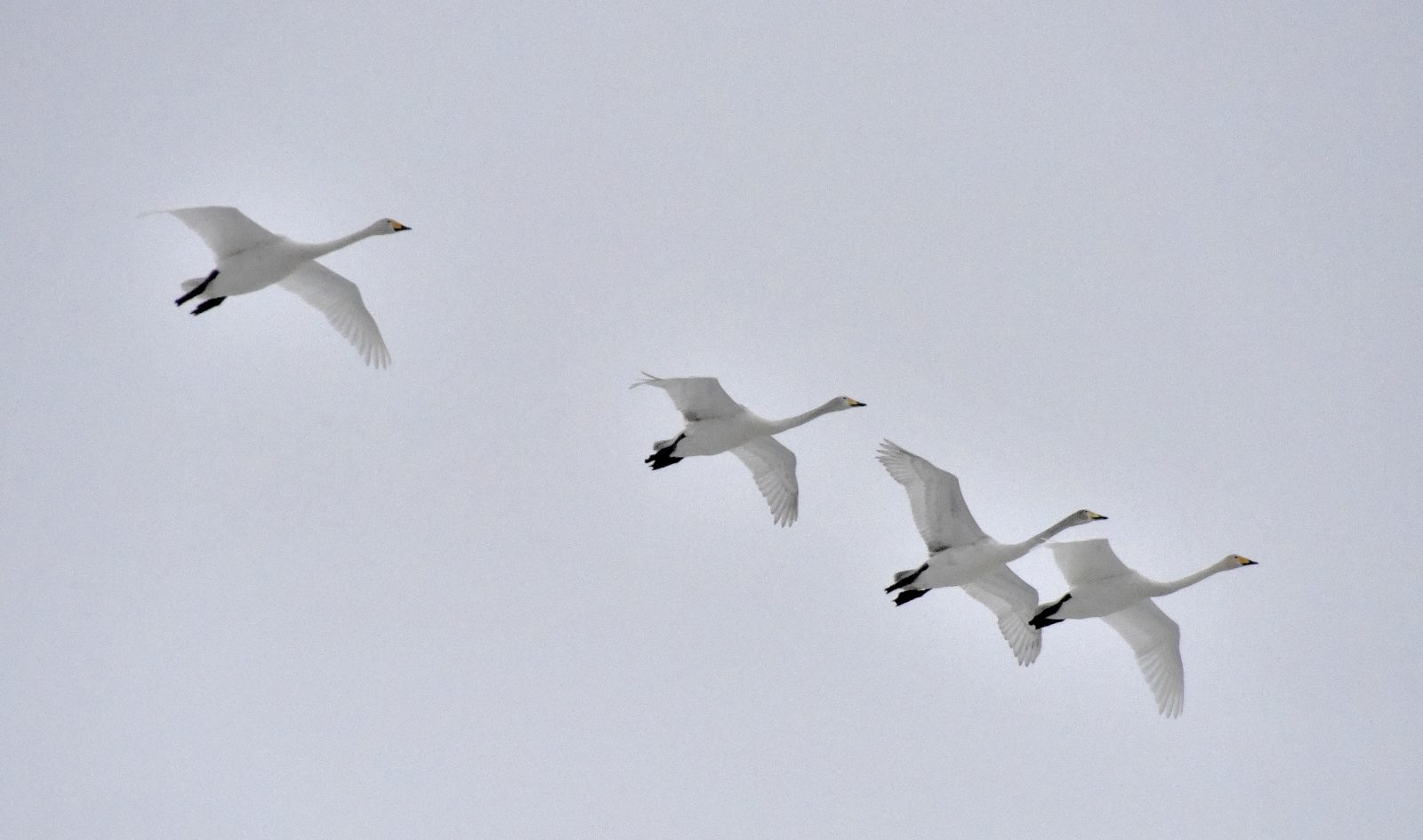 Valokuvaaja: Reijo Juurinen