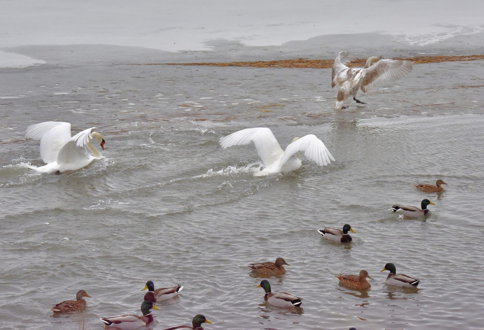 Valokuvaaja: Reijo Juurinen