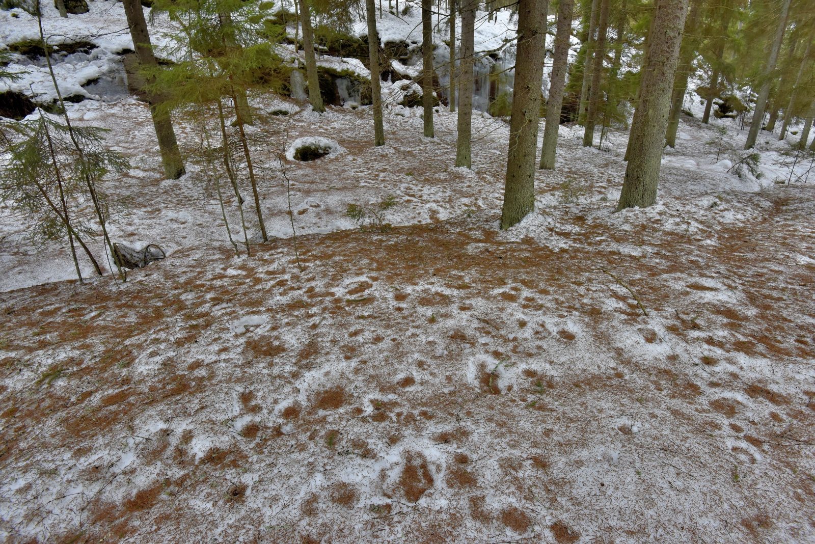 Valokuvaaja: Reijo Juurinen