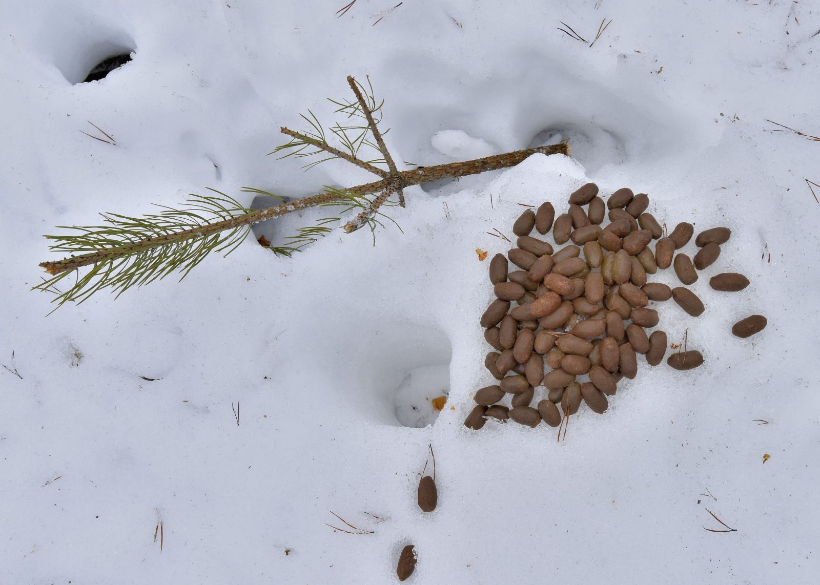 Valokuvaaja: Reijo Juurinen
