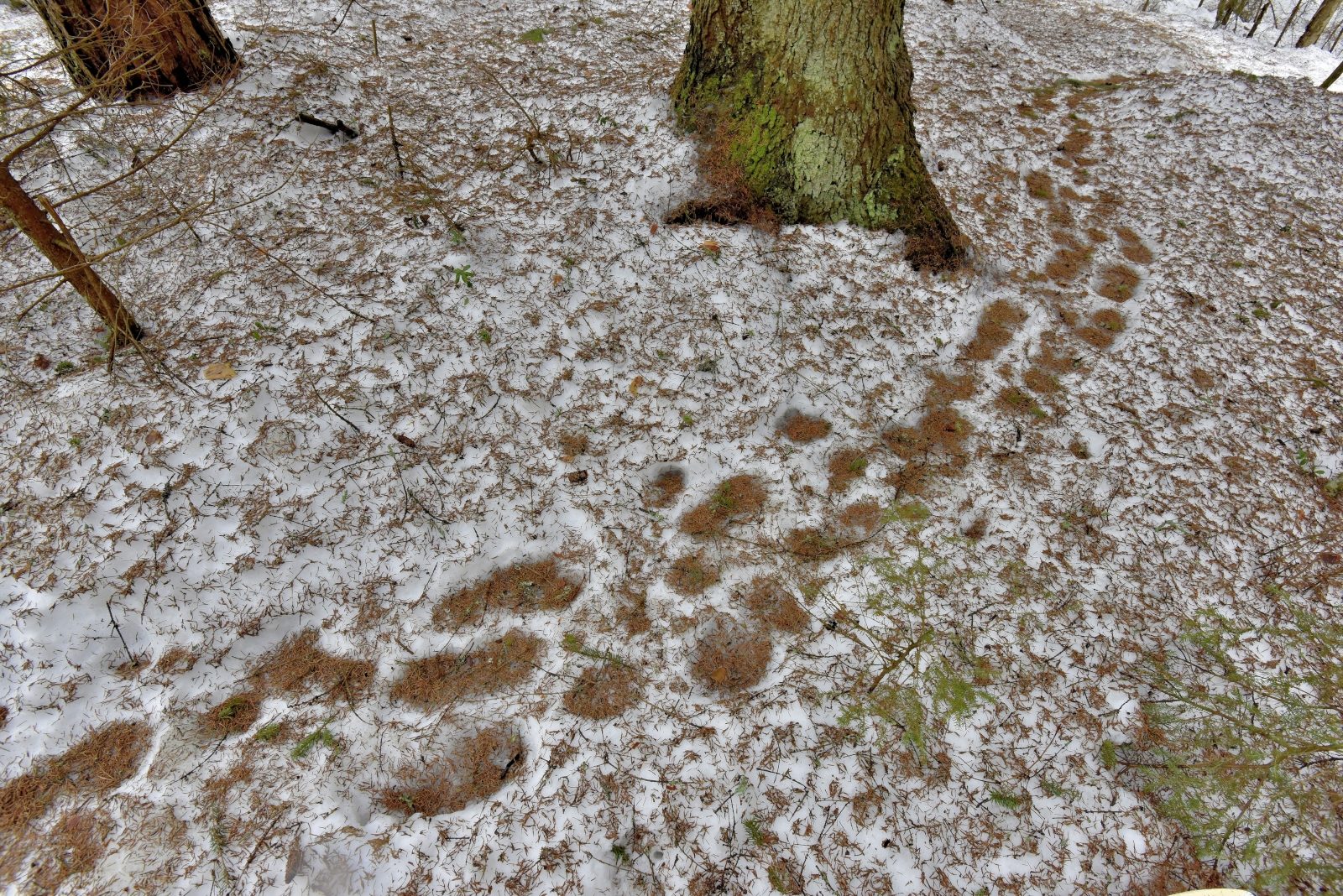 Valokuvaaja: Reijo Juurinen Valokuvaaja: Reijo Juurinen