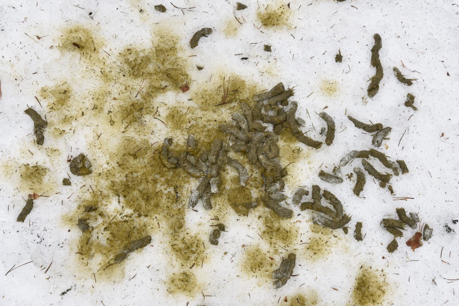 Valokuvaaja: Reijo Juurinen Valokuvaaja: Reijo Juurinen