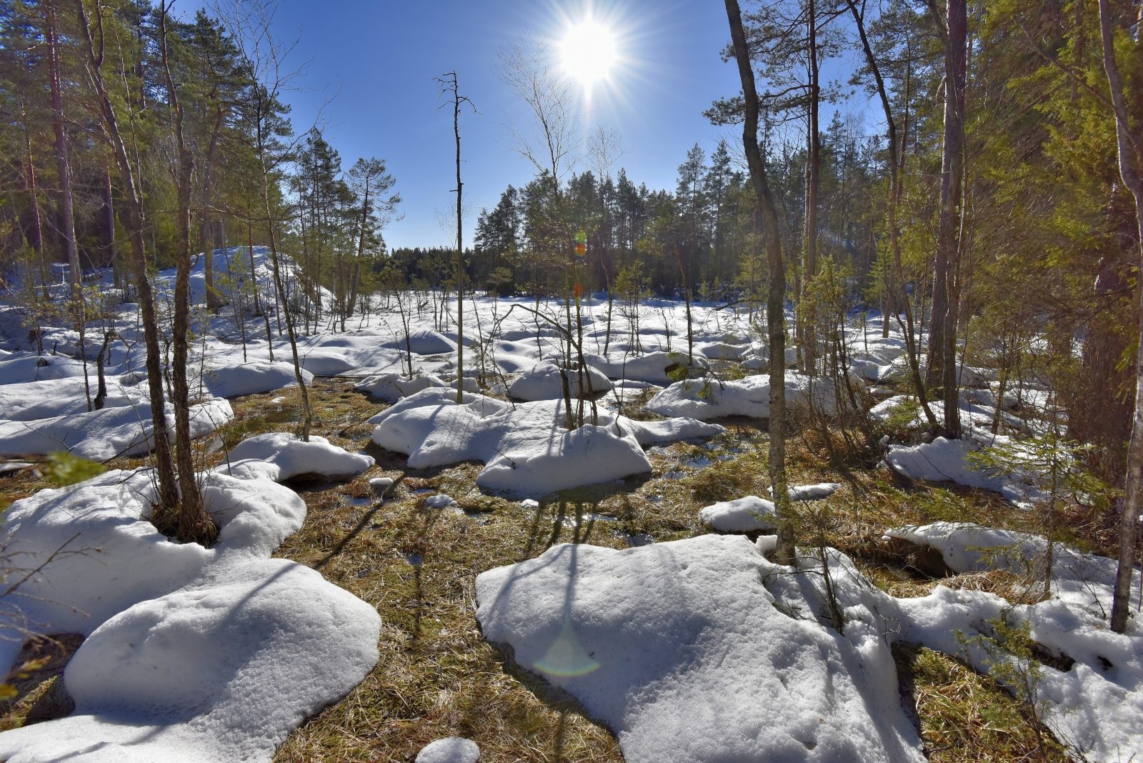 Valokuvaaja: Reijo Juurinen
