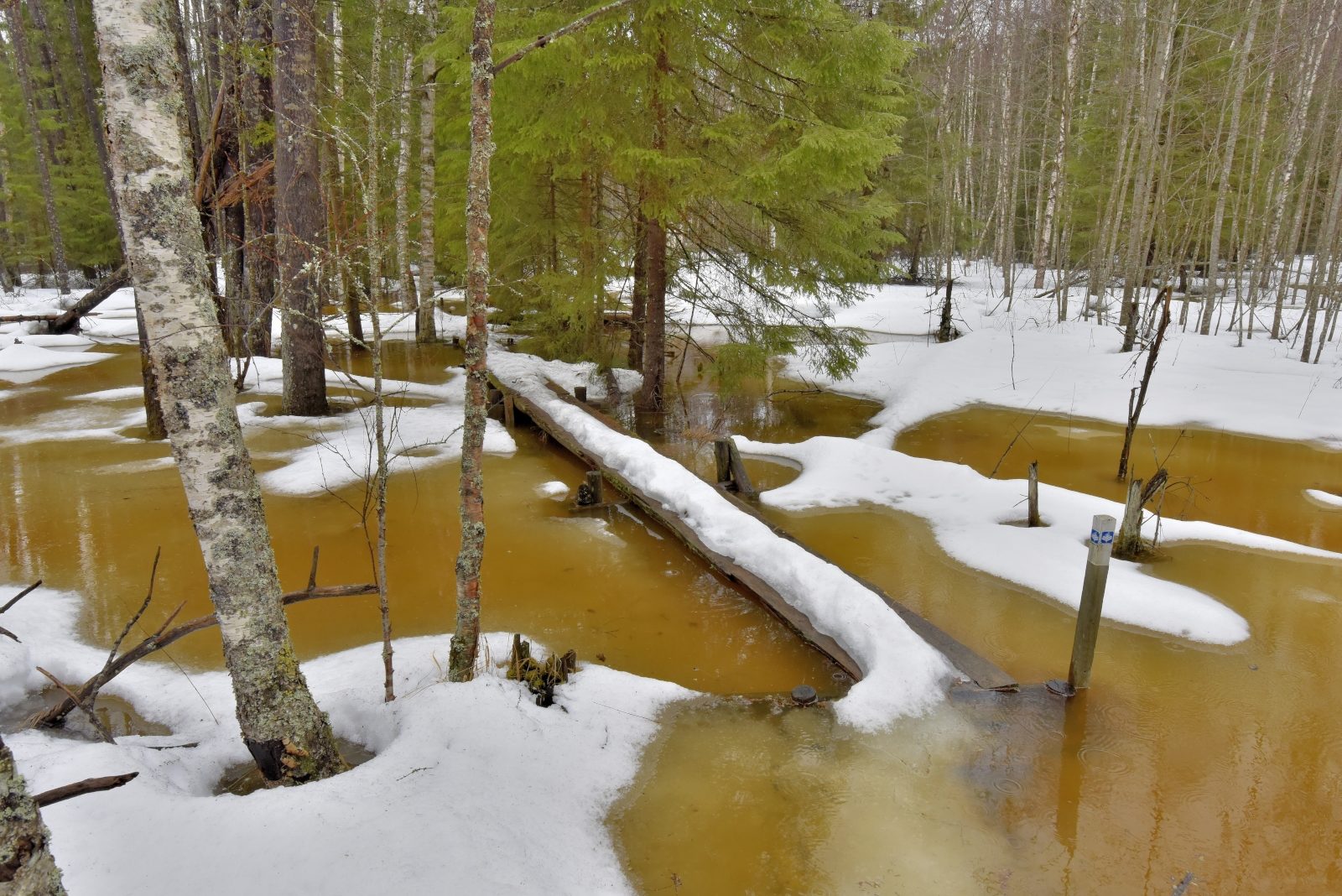 Valokuvaaja: Reijo Juurinen