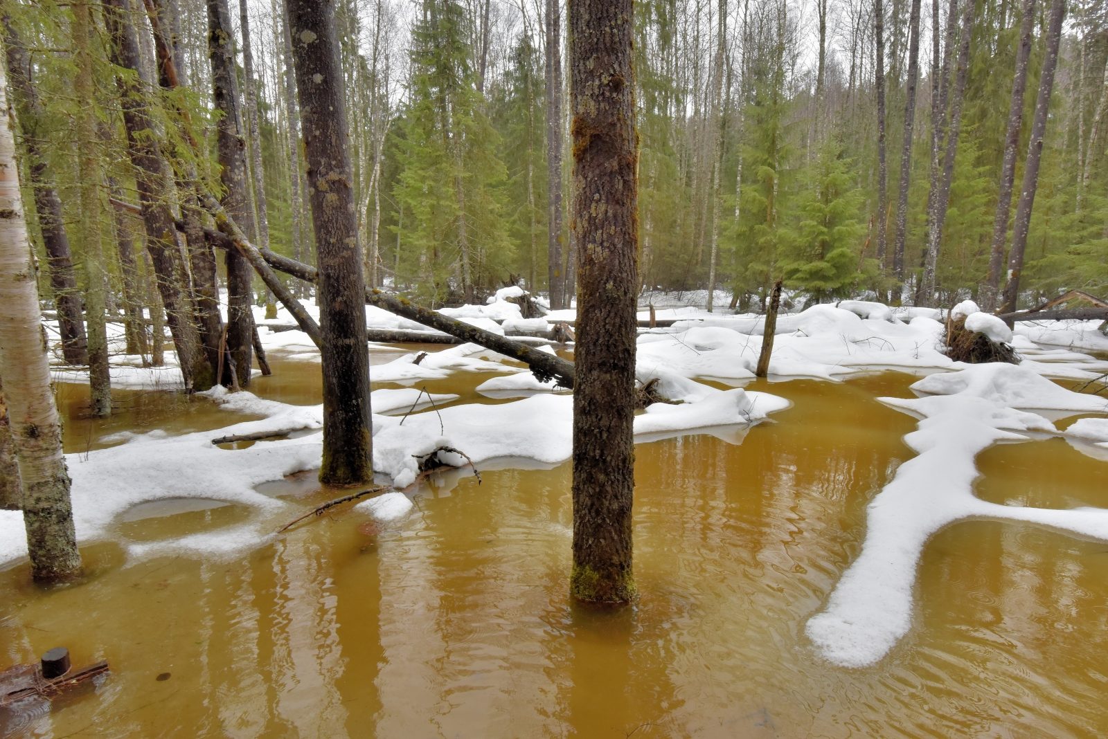 Valokuvaaja: Reijo Juurinen