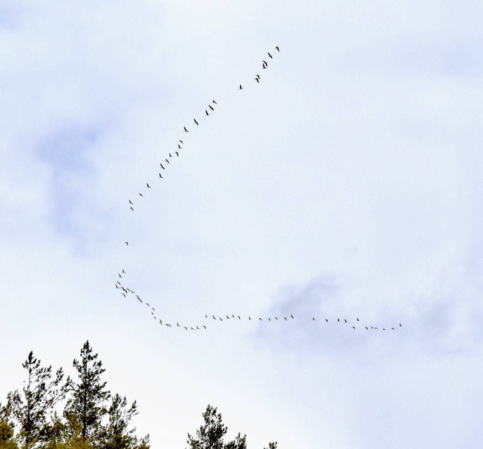 Valokuvaaja: Reijo Juurinen Valokuvaaja: Reijo Juurinen