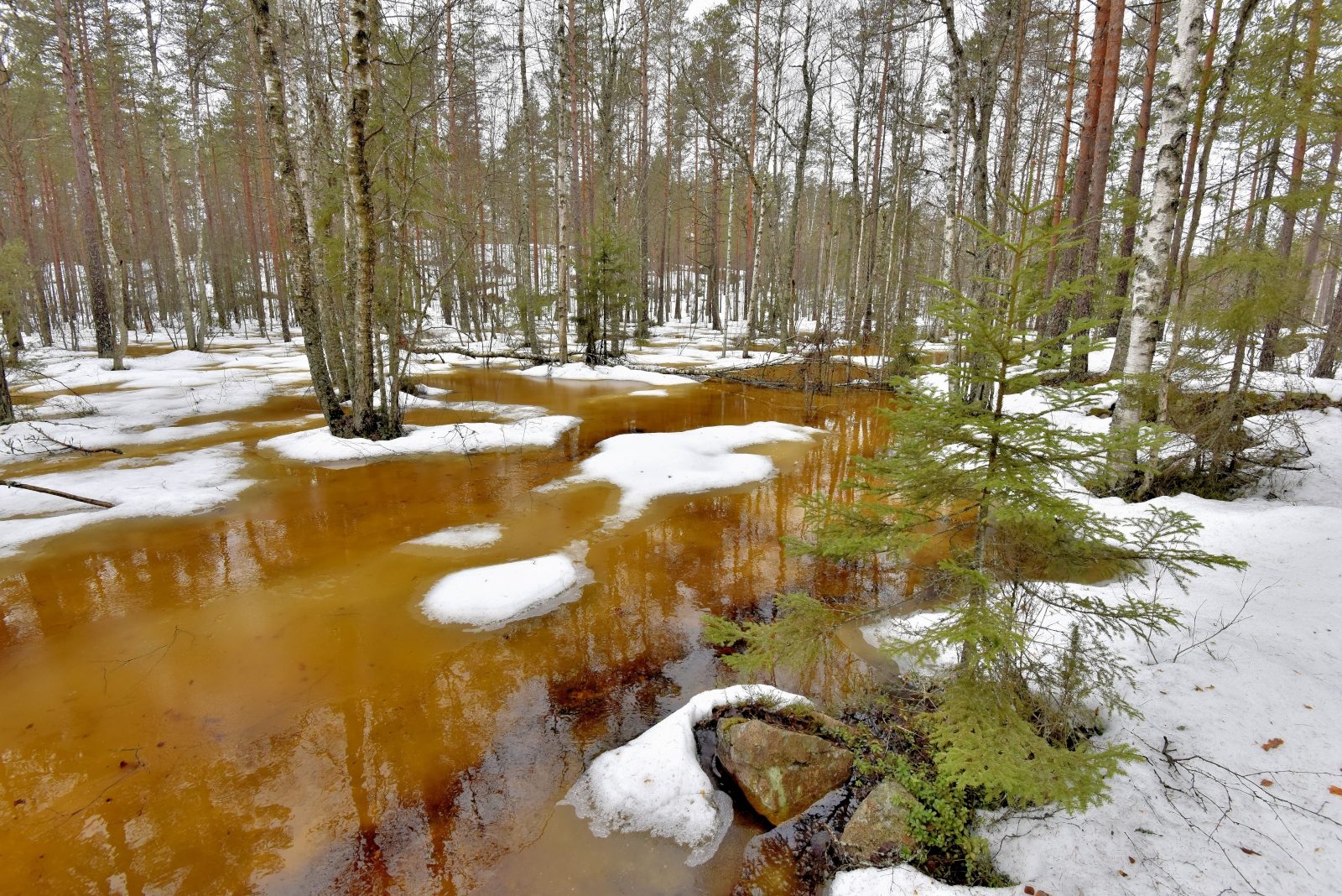 Valokuvaaja: Reijo Juurinen