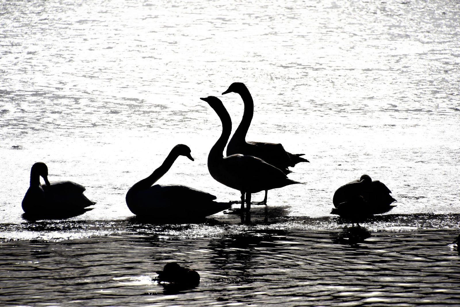 Valokuvaaja: Reijo Juurinen