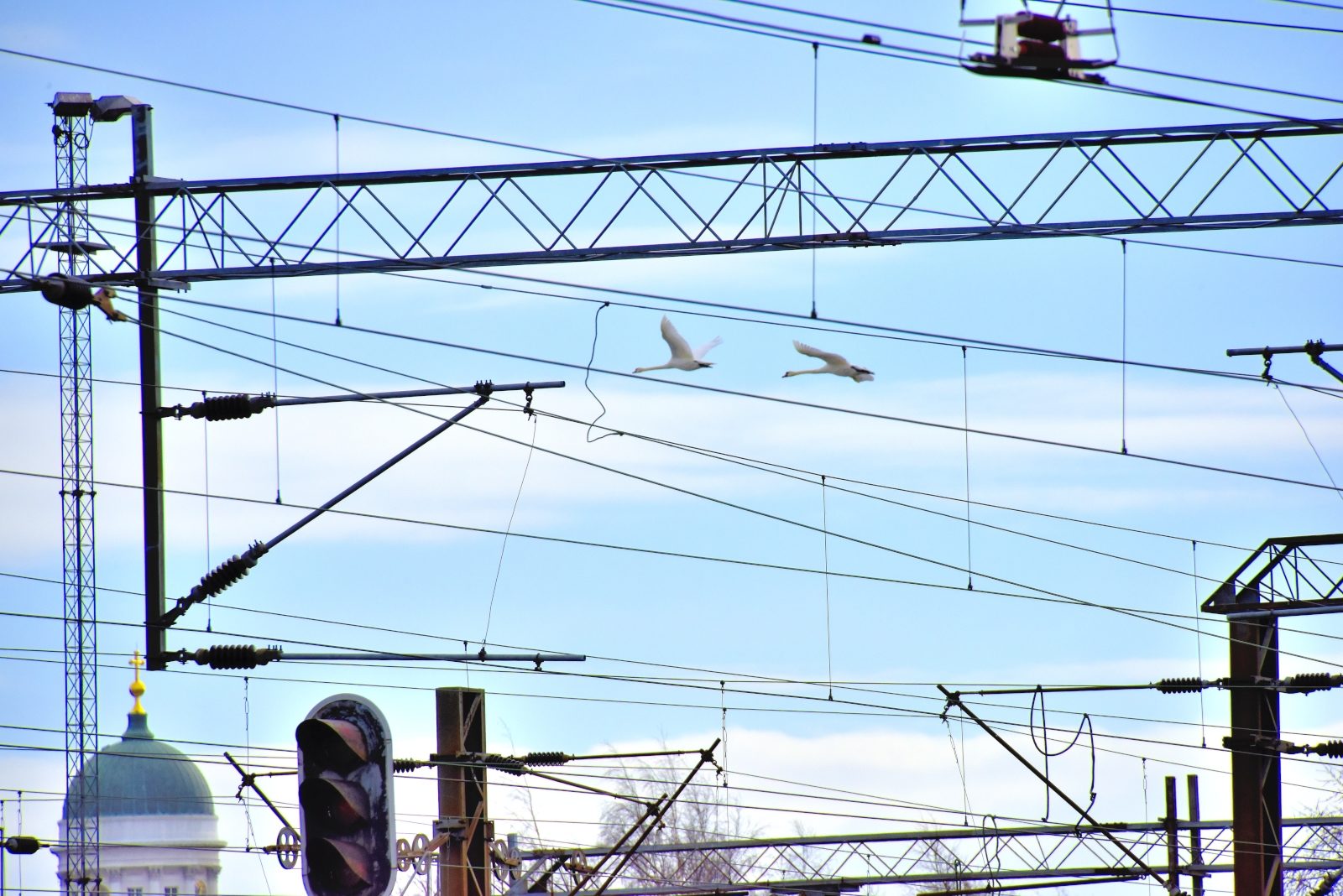 Valokuvaaja: Reijo Juurinen