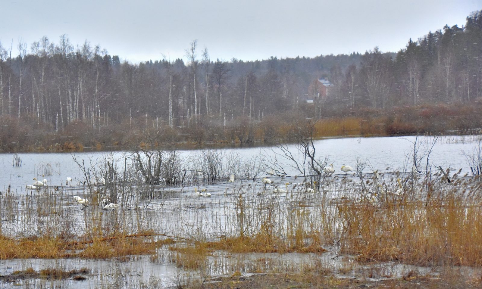 Valokuvaaja: Reijo Juurinen
