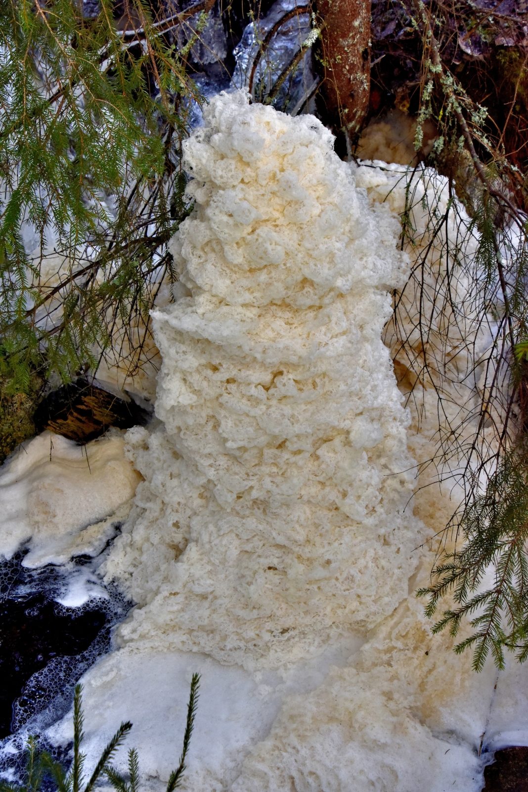 Valokuvaaja: Reijo Juurinen