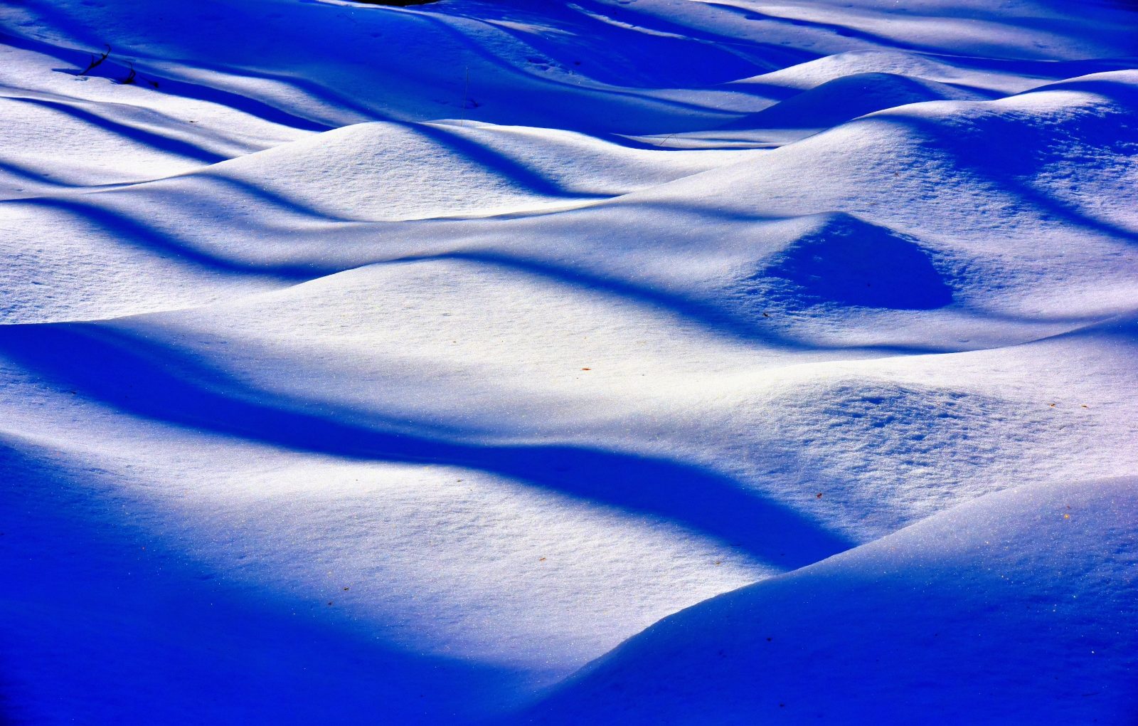 Valokuvaaja: Reijo Juurinen