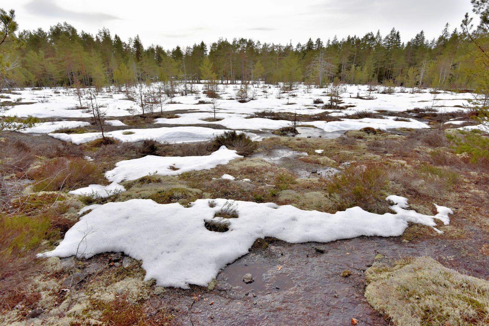 Valokuvaaja: Reijo Juurinen