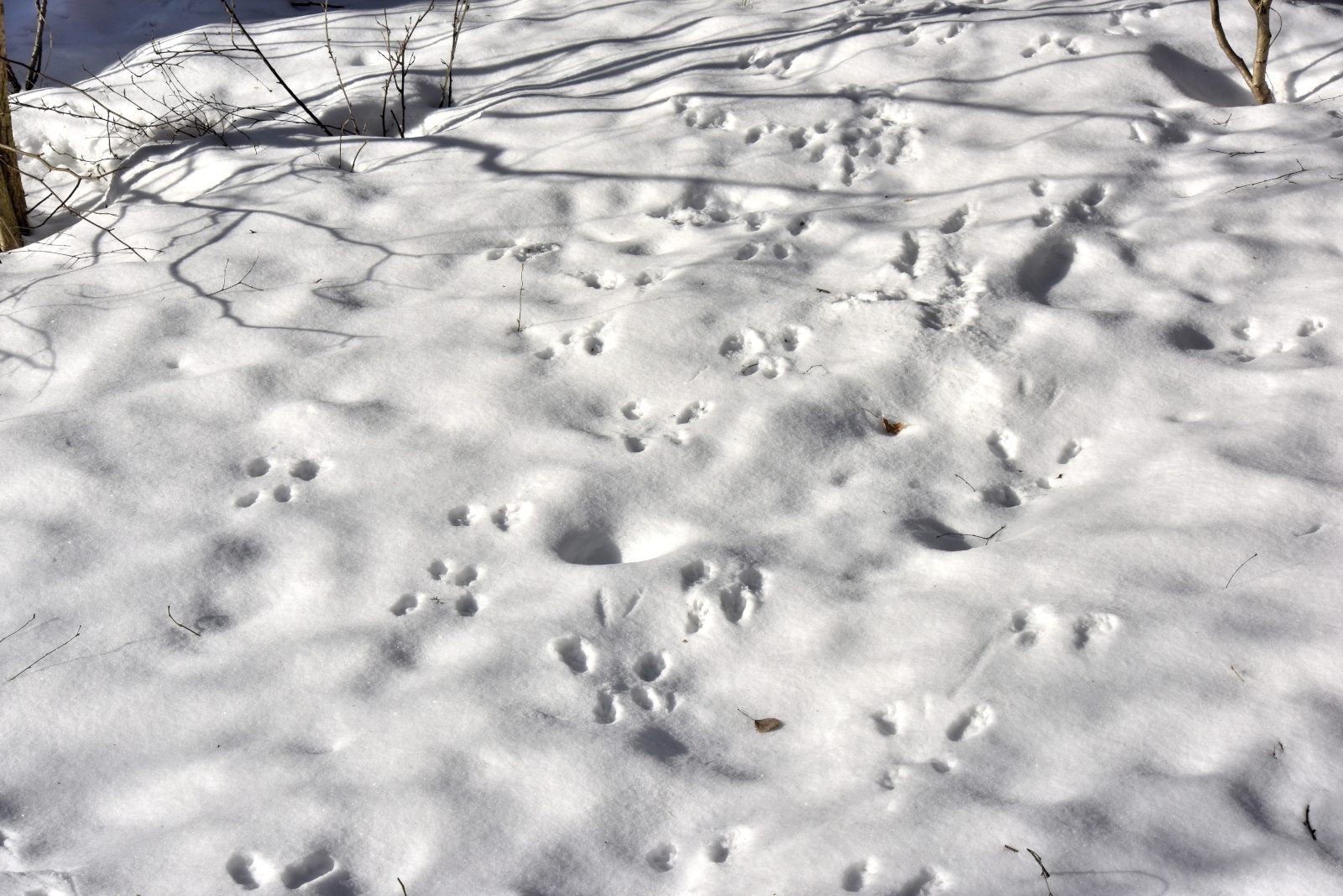 Valokuvaaja: Reijo Juurinen