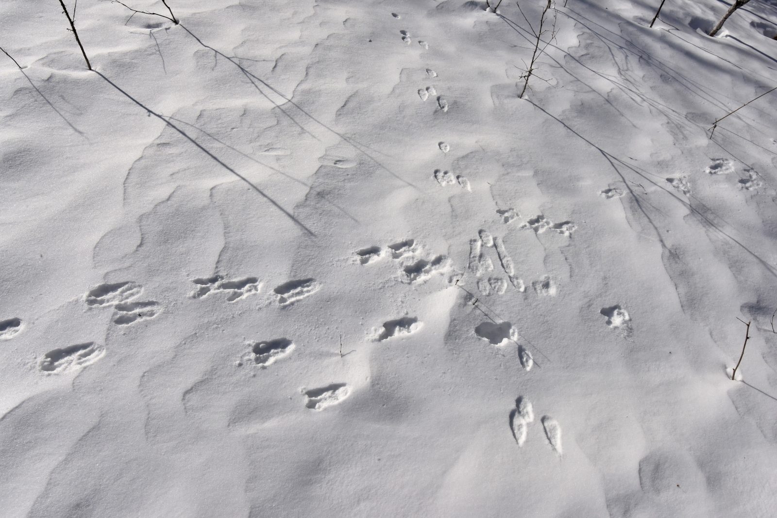 Valokuvaaja: Reijo Juurinen