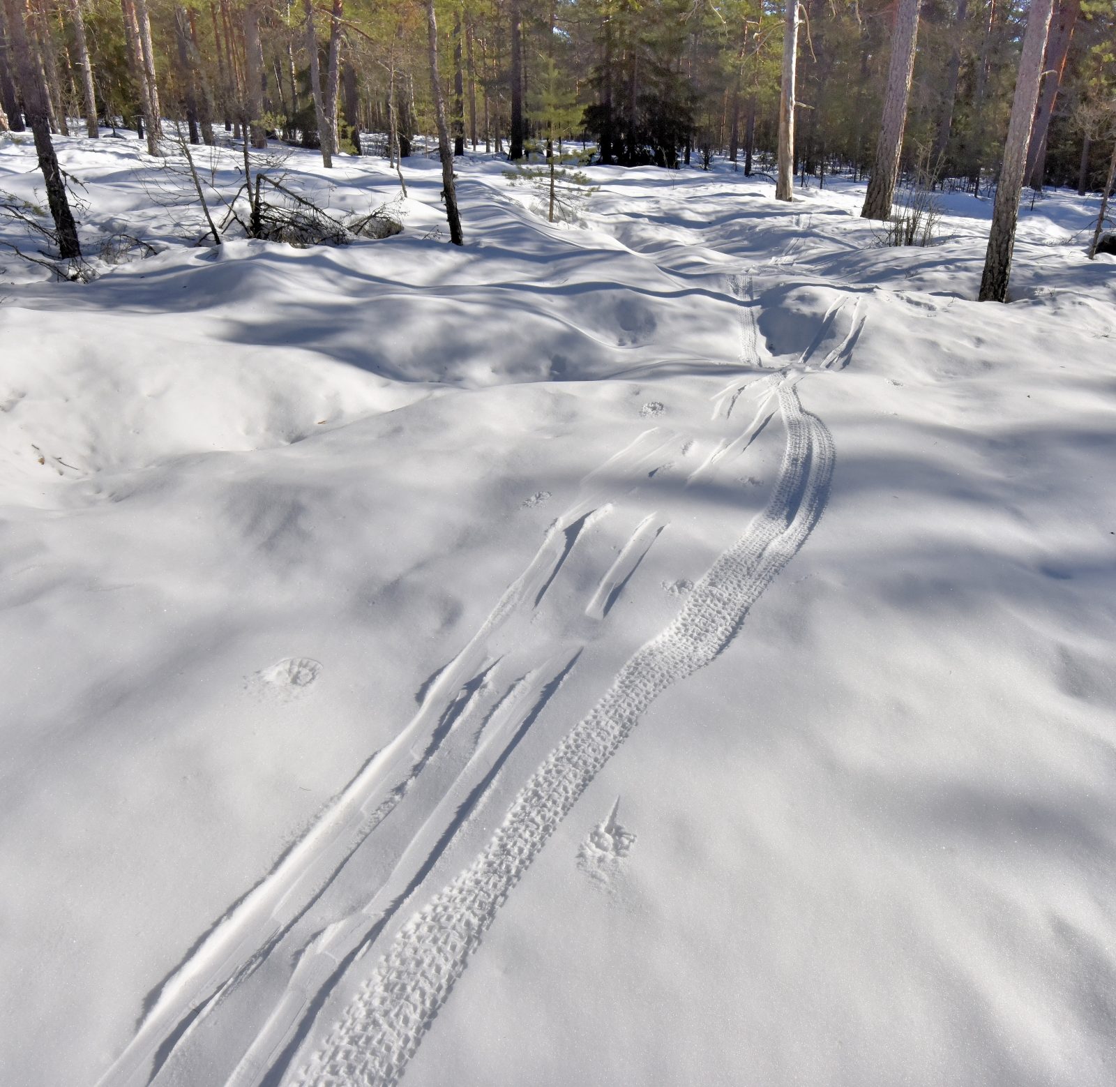 Valokuvaaja: Reijo Juurinen