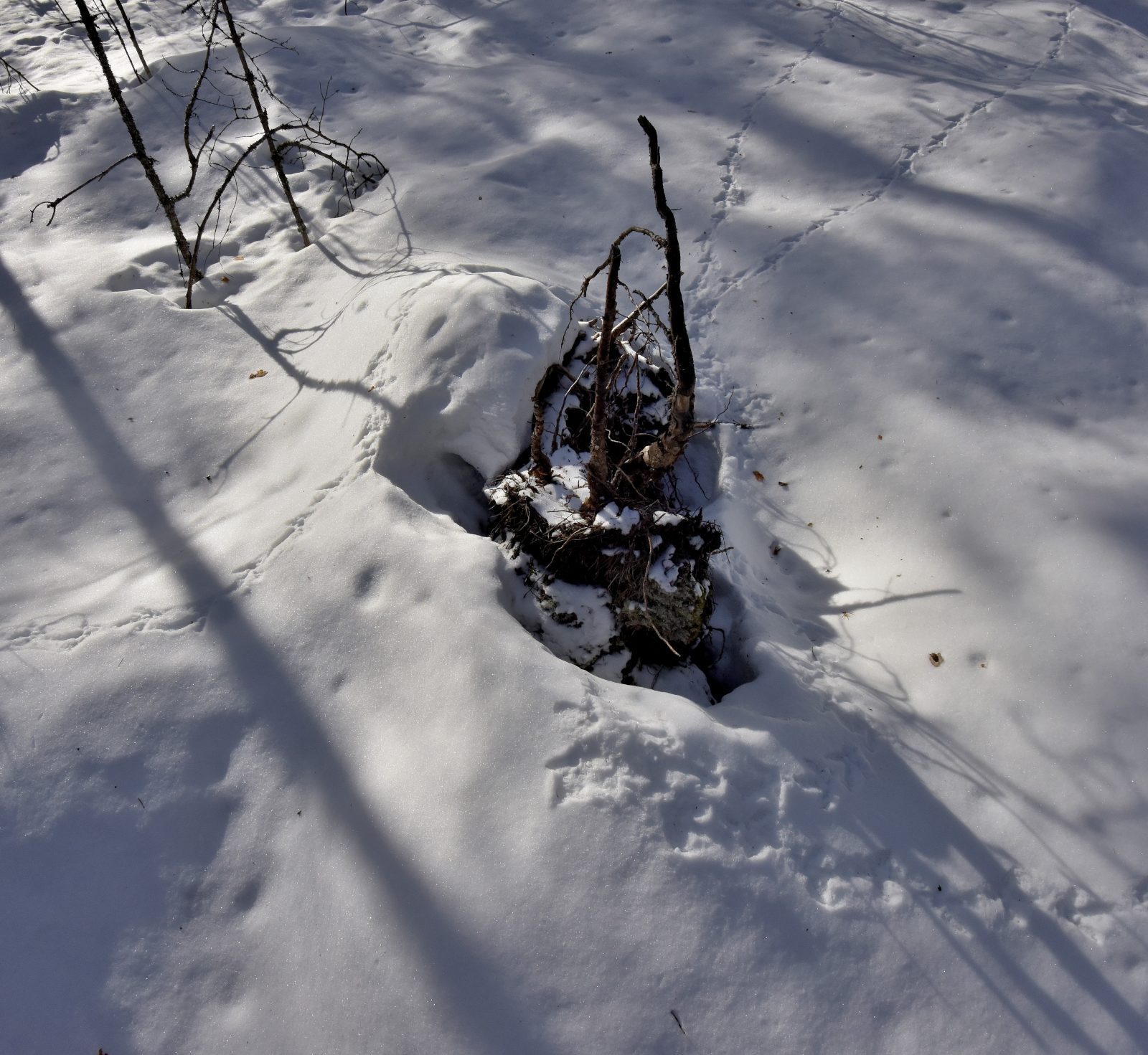 Valokuvaaja: Reijo Juurinen