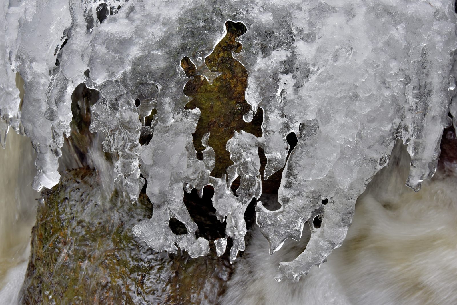 Valokuvaaja: Reijo Juurinen