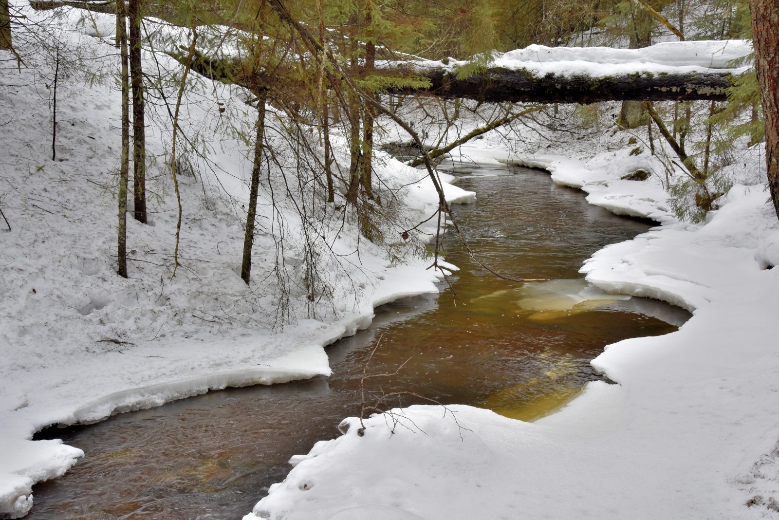 Valokuvaaja: Reijo Juurinen