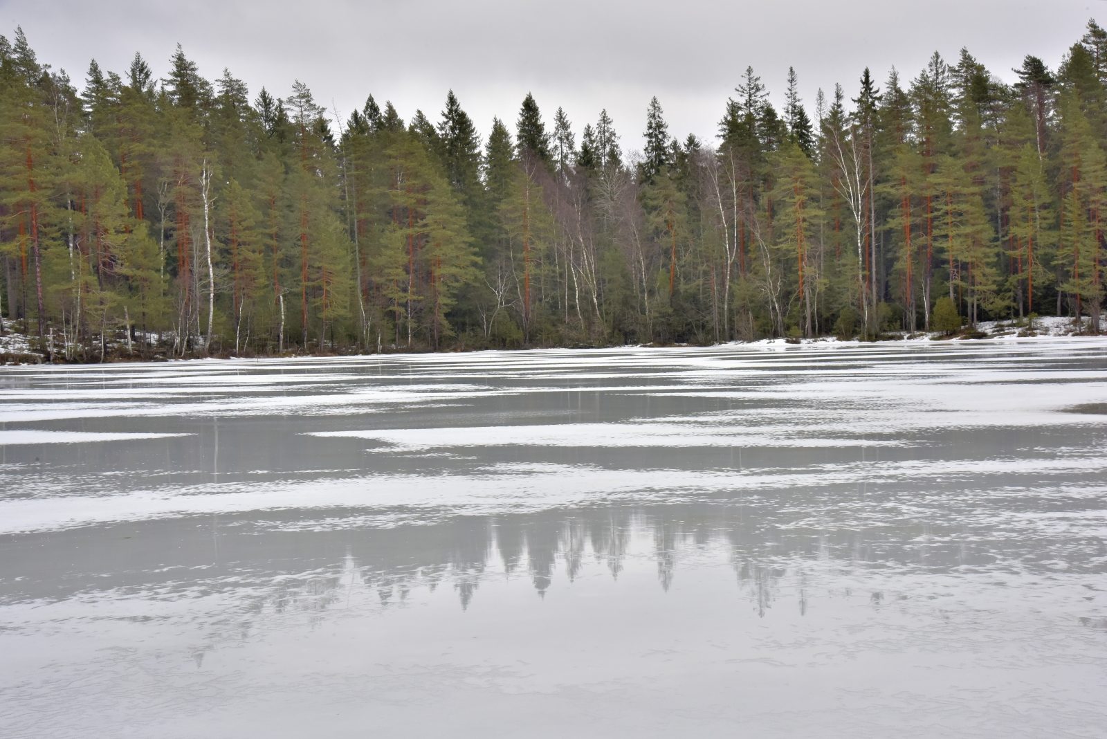 Valokuvaaja: Reijo Juurinen