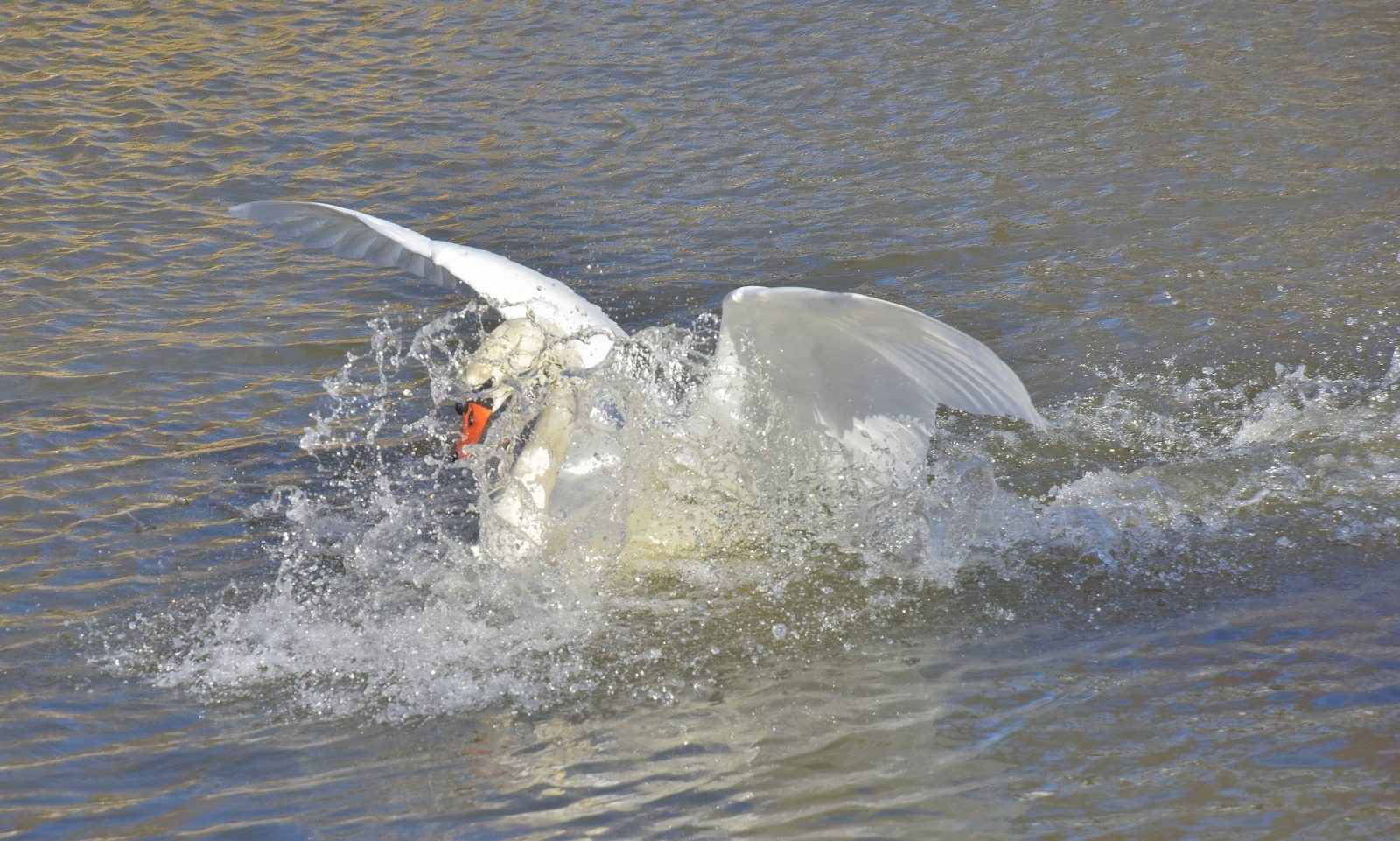 Valokuvaaja: Reijo Juurinen