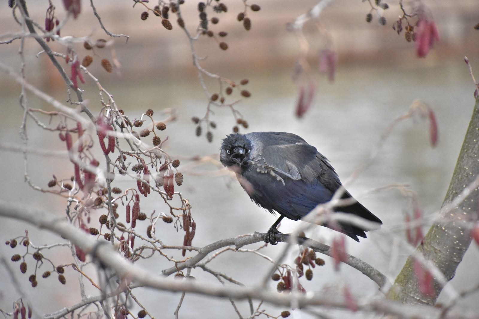Valokuvaaja: Reijo Juurinen