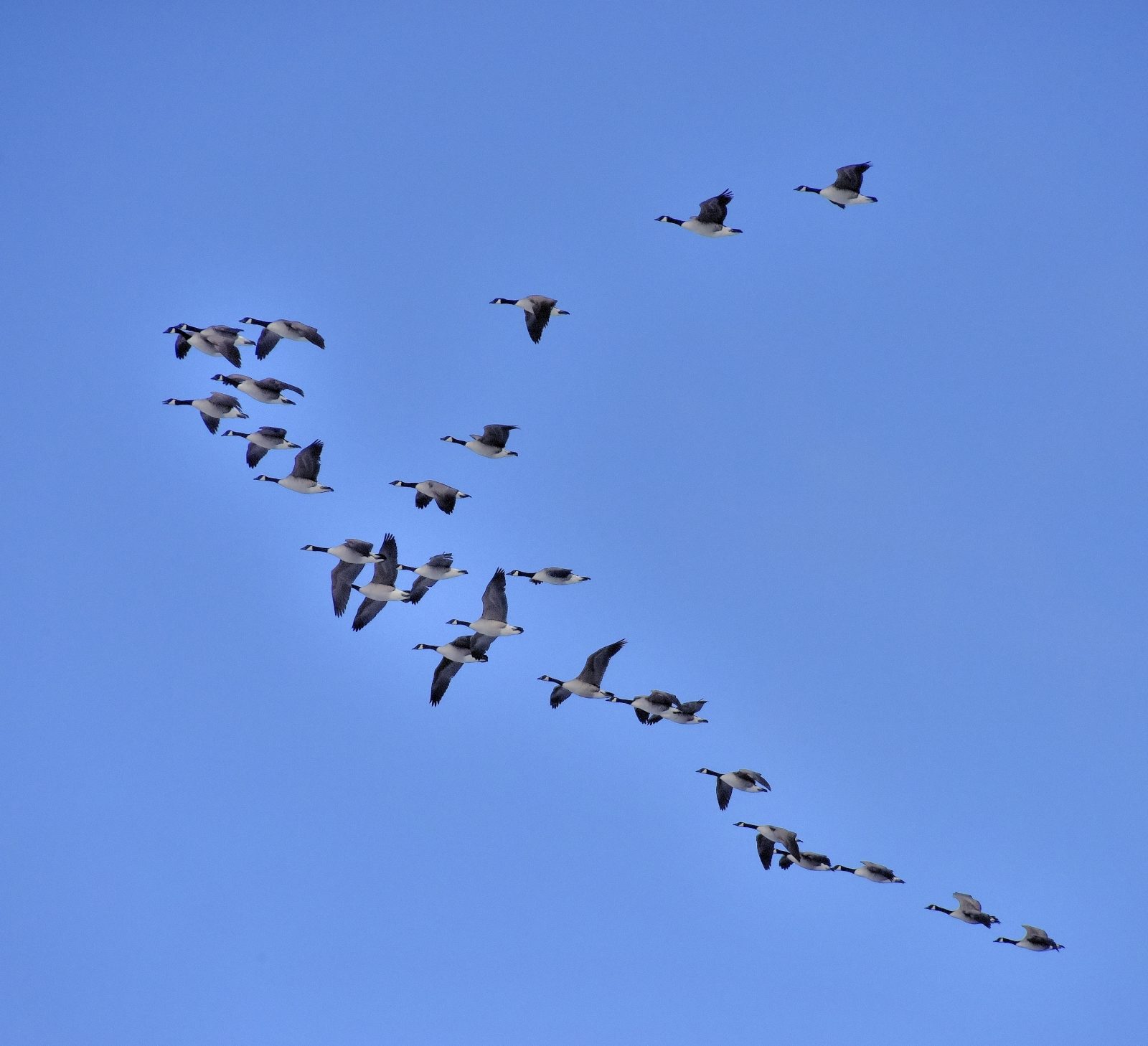 Valokuvaaja: Reijo Juurinen
