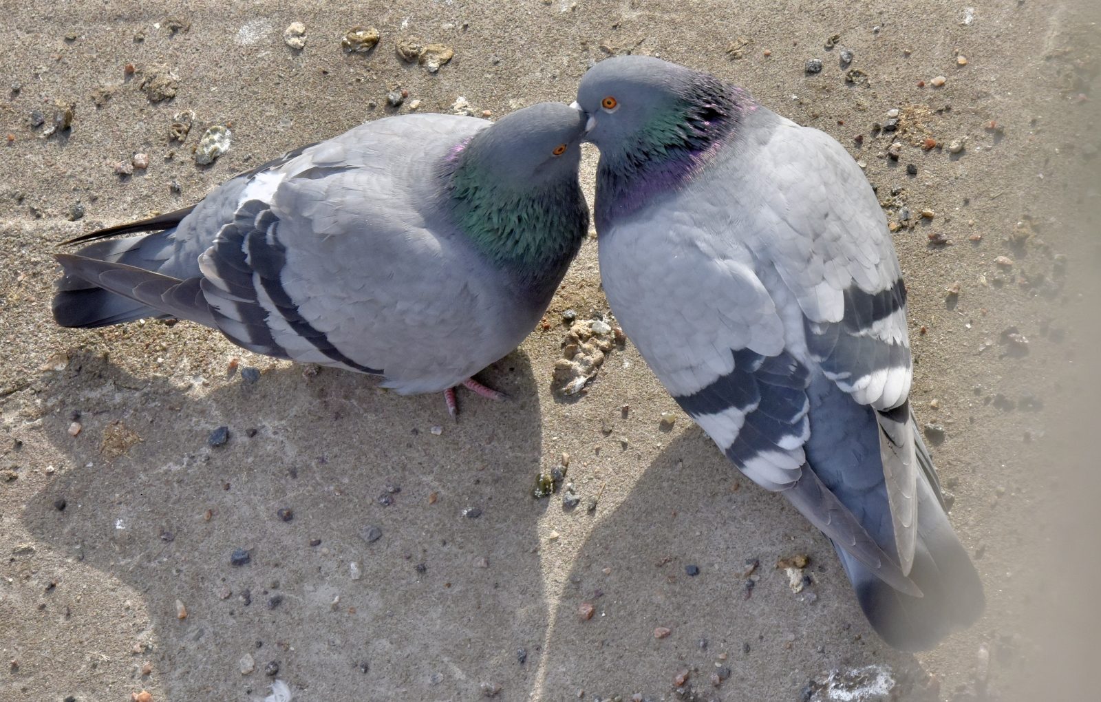 Valokuvaaja: Reijo Juurinen