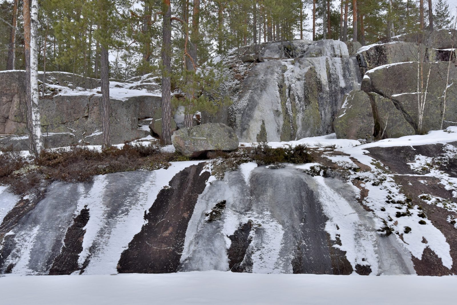 Valokuvaaja: Reijo Juurinen Valokuvaaja: Reijo Juurinen