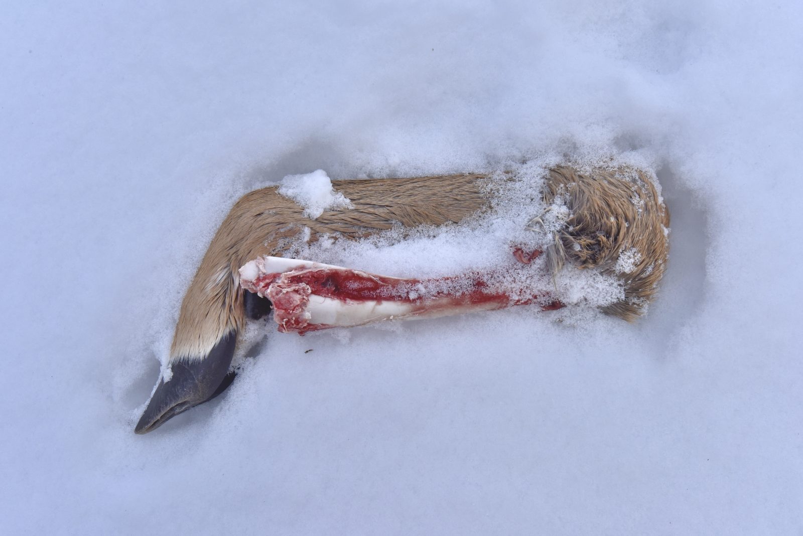 Valokuvaaja: Reijo Juurinen