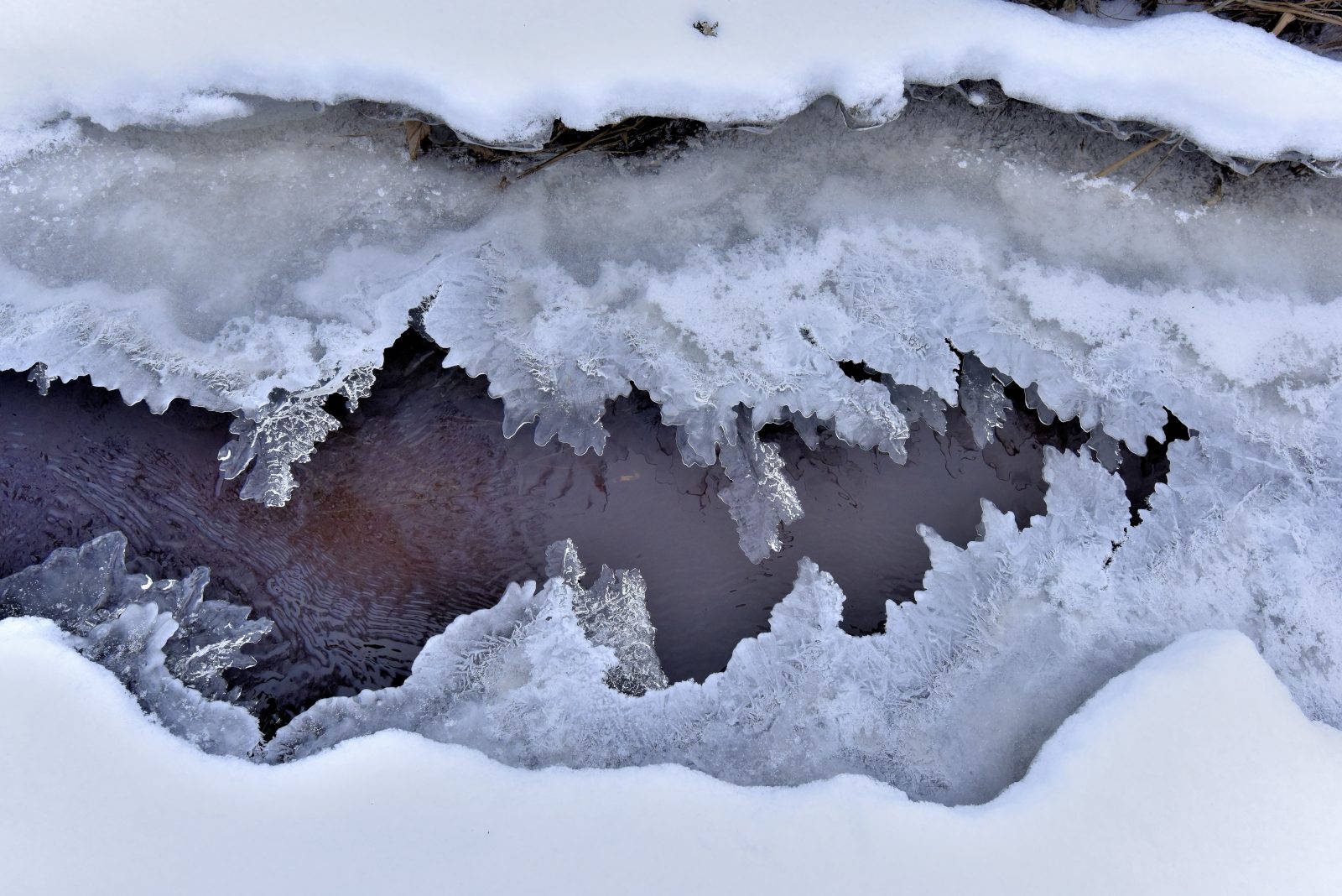 Valokuvaaja: Reijo Juurinen