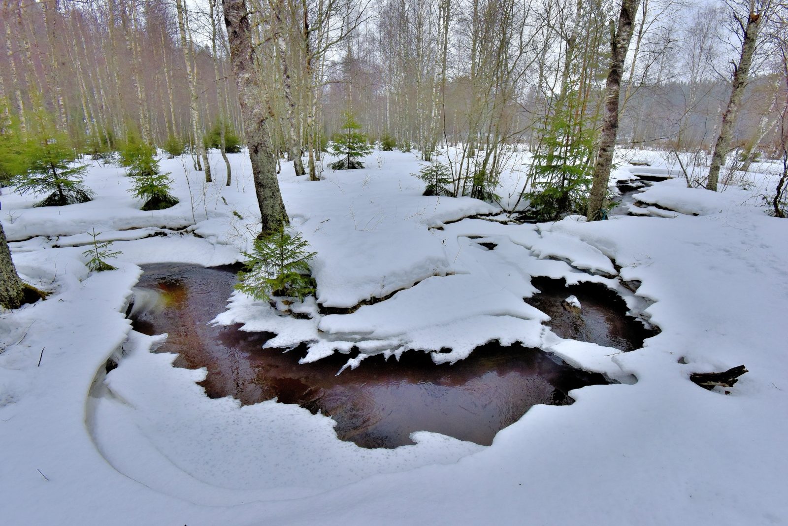 Valokuvaaja: Reijo Juurinen