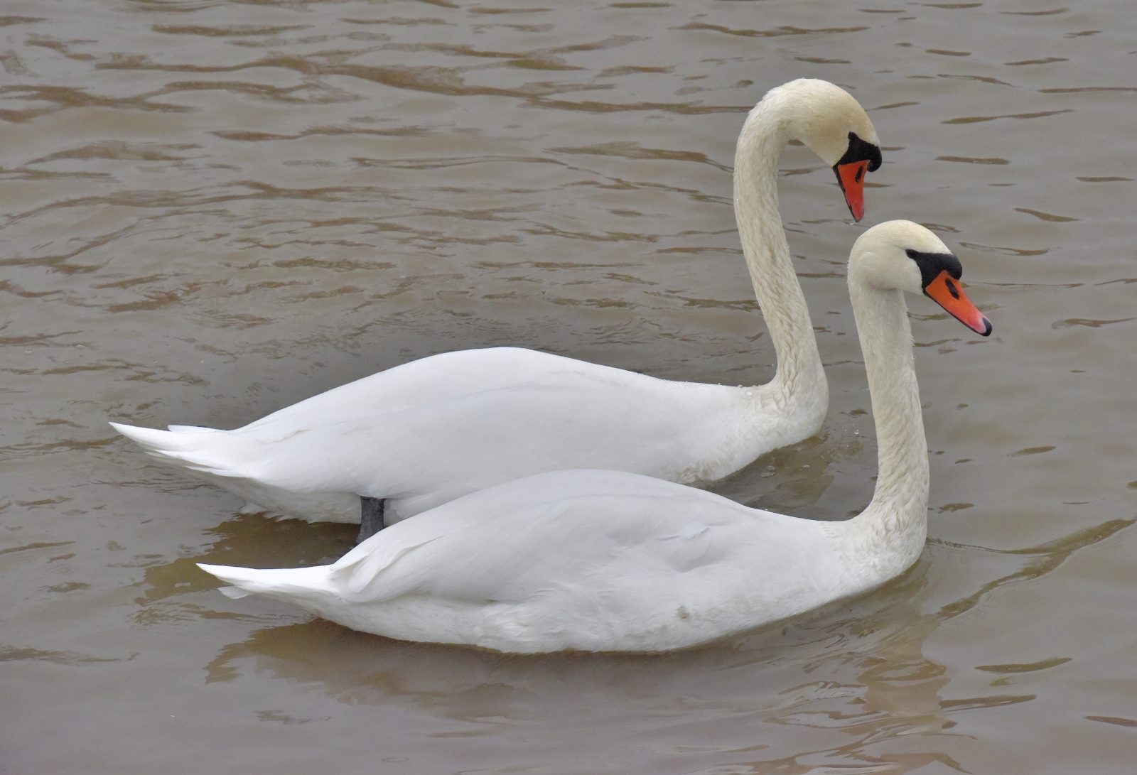 Valokuvaaja: Reijo Juurinen