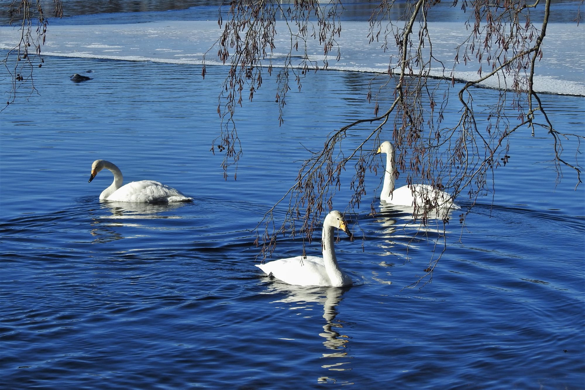 Valokuvaaja: Maarit Siitonen