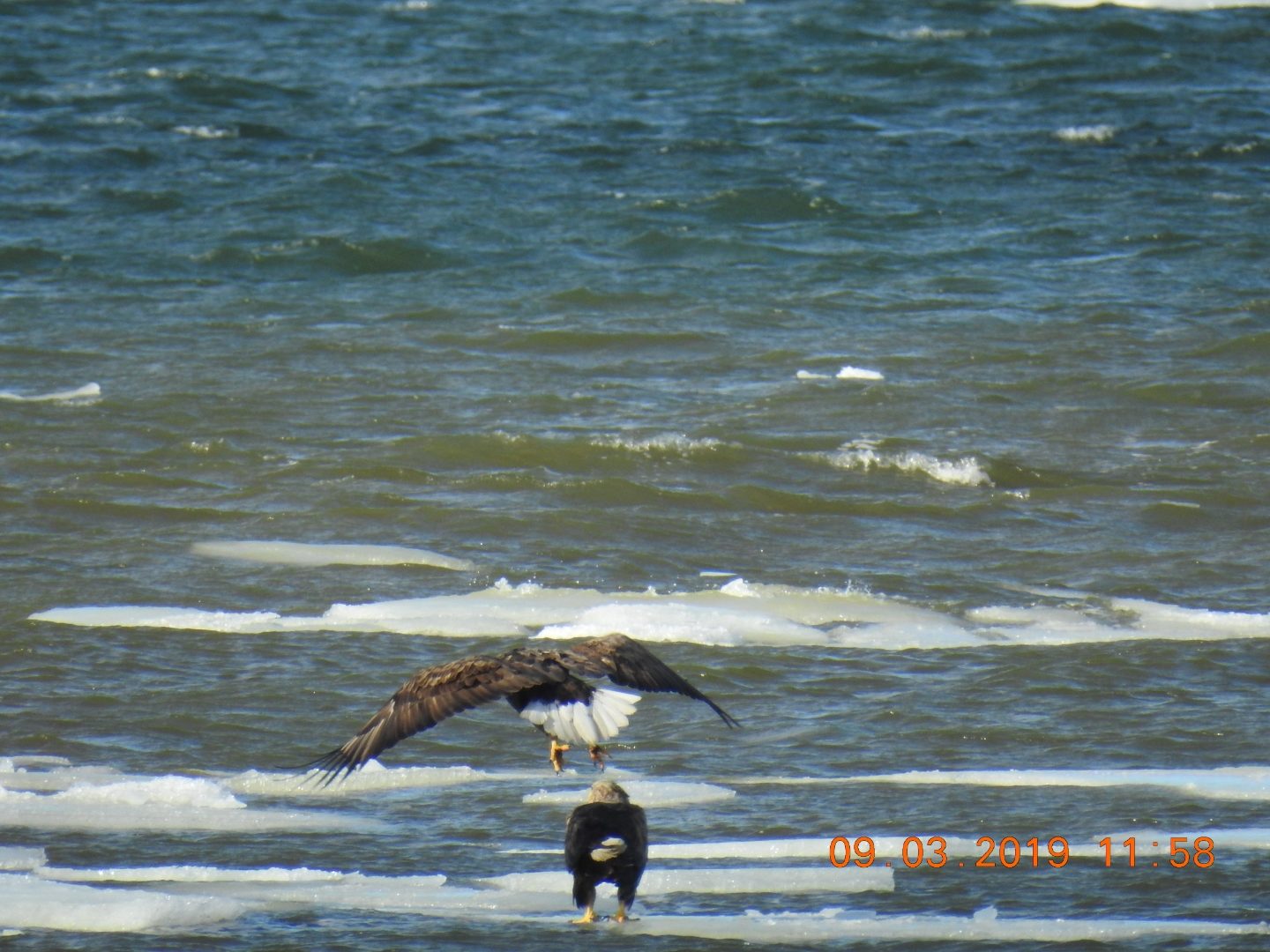 Valokuvaaja: Meri Hermas