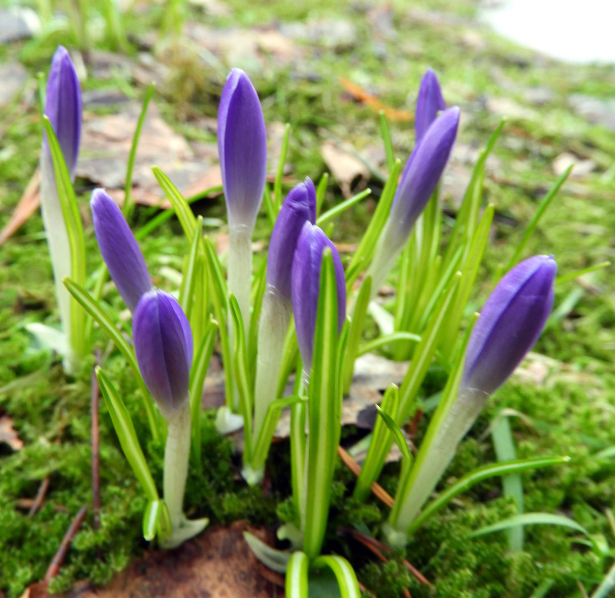 Valokuvaaja: Lissu Kaivolehto