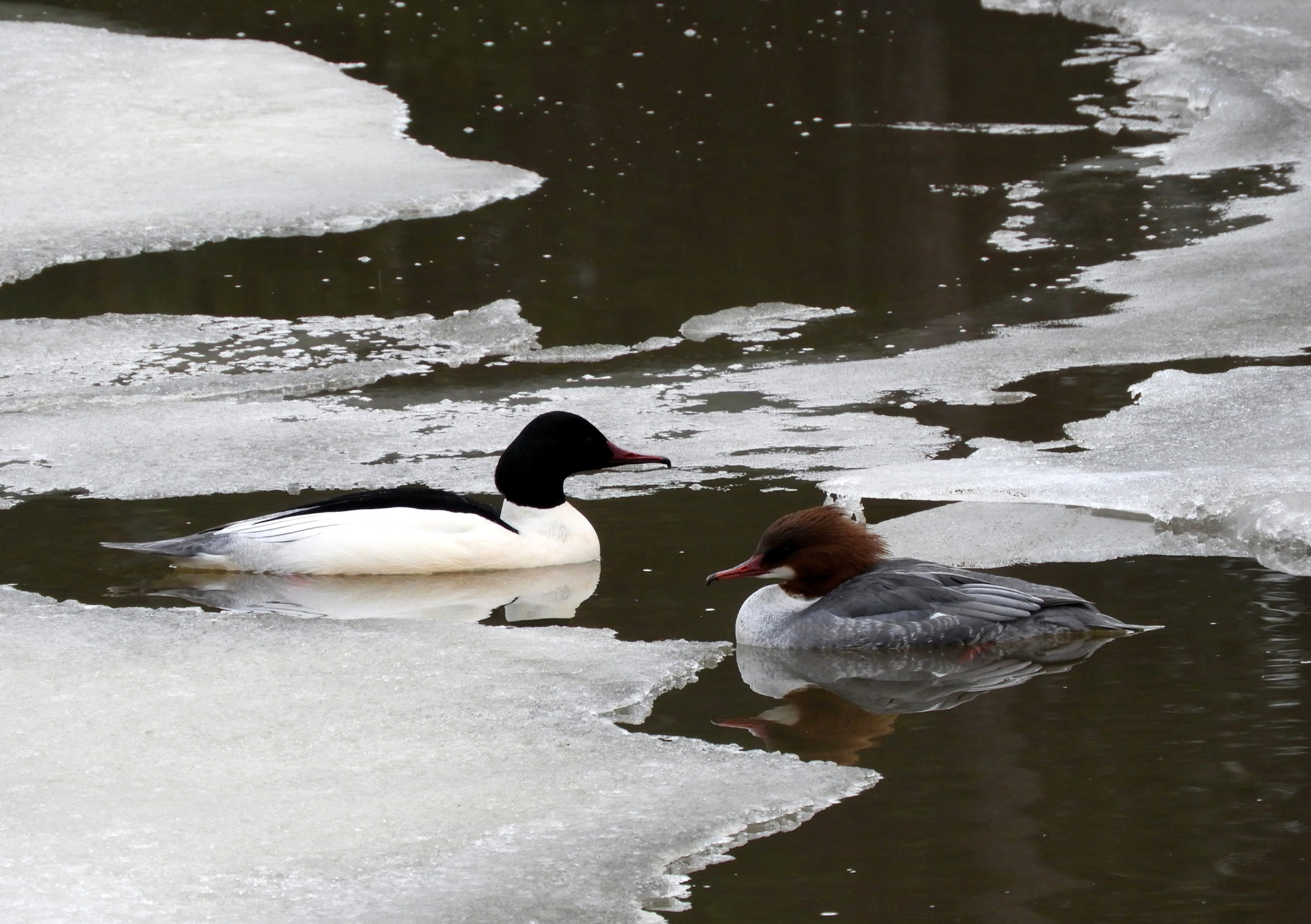 Valokuvaaja: Lissu Kaivolehto