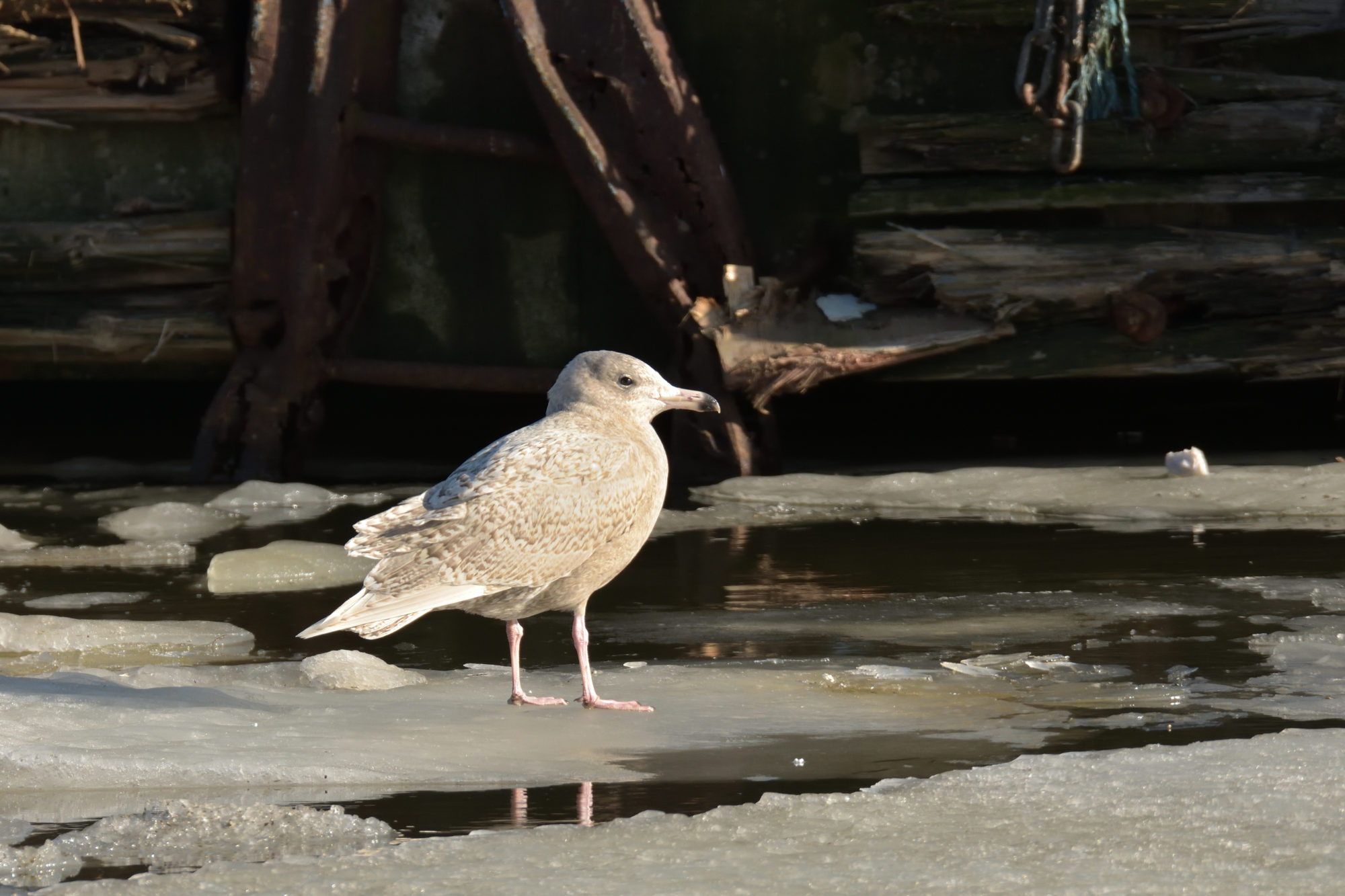 Valokuvaaja: Asko Heikkinen
