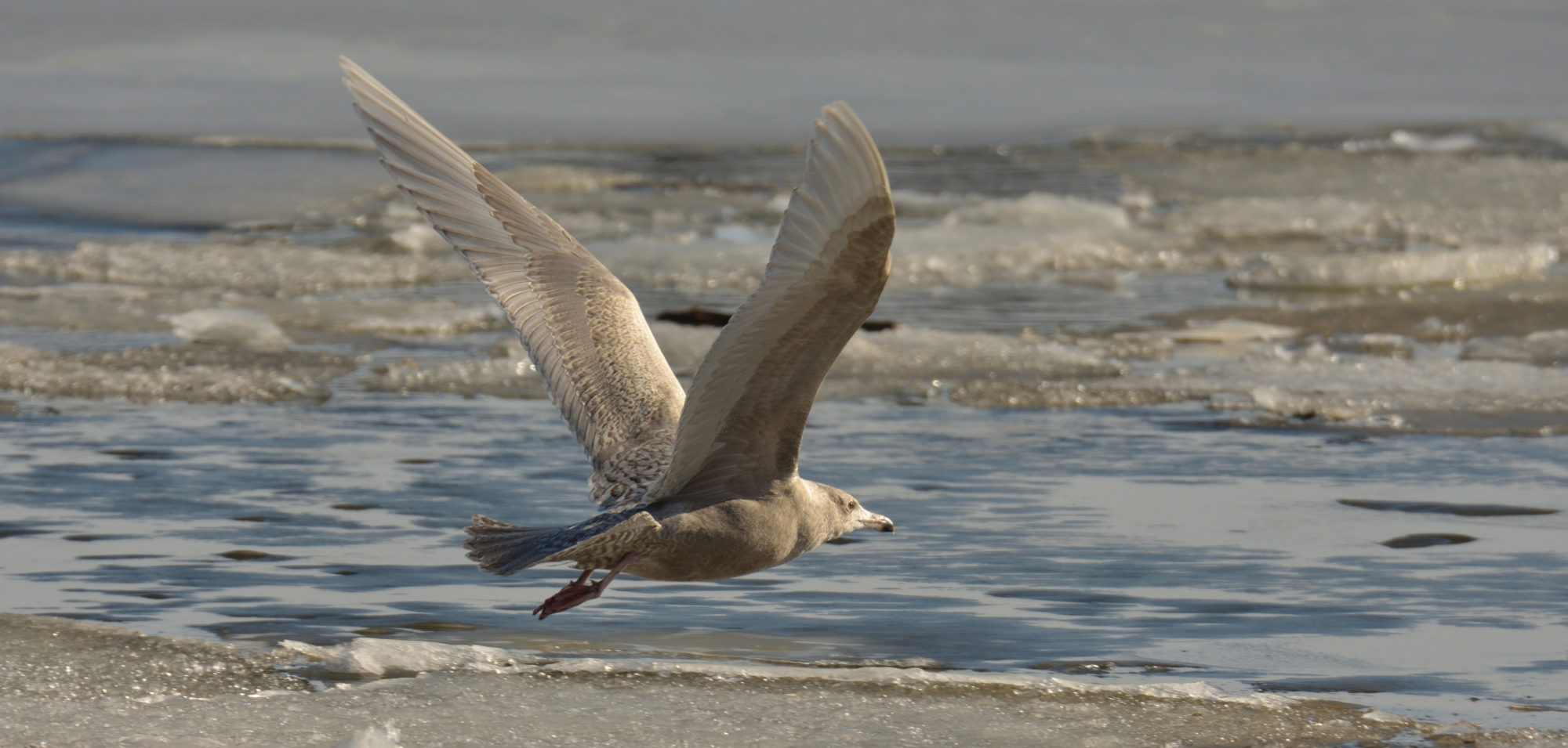 Valokuvaaja: Asko Heikkinen