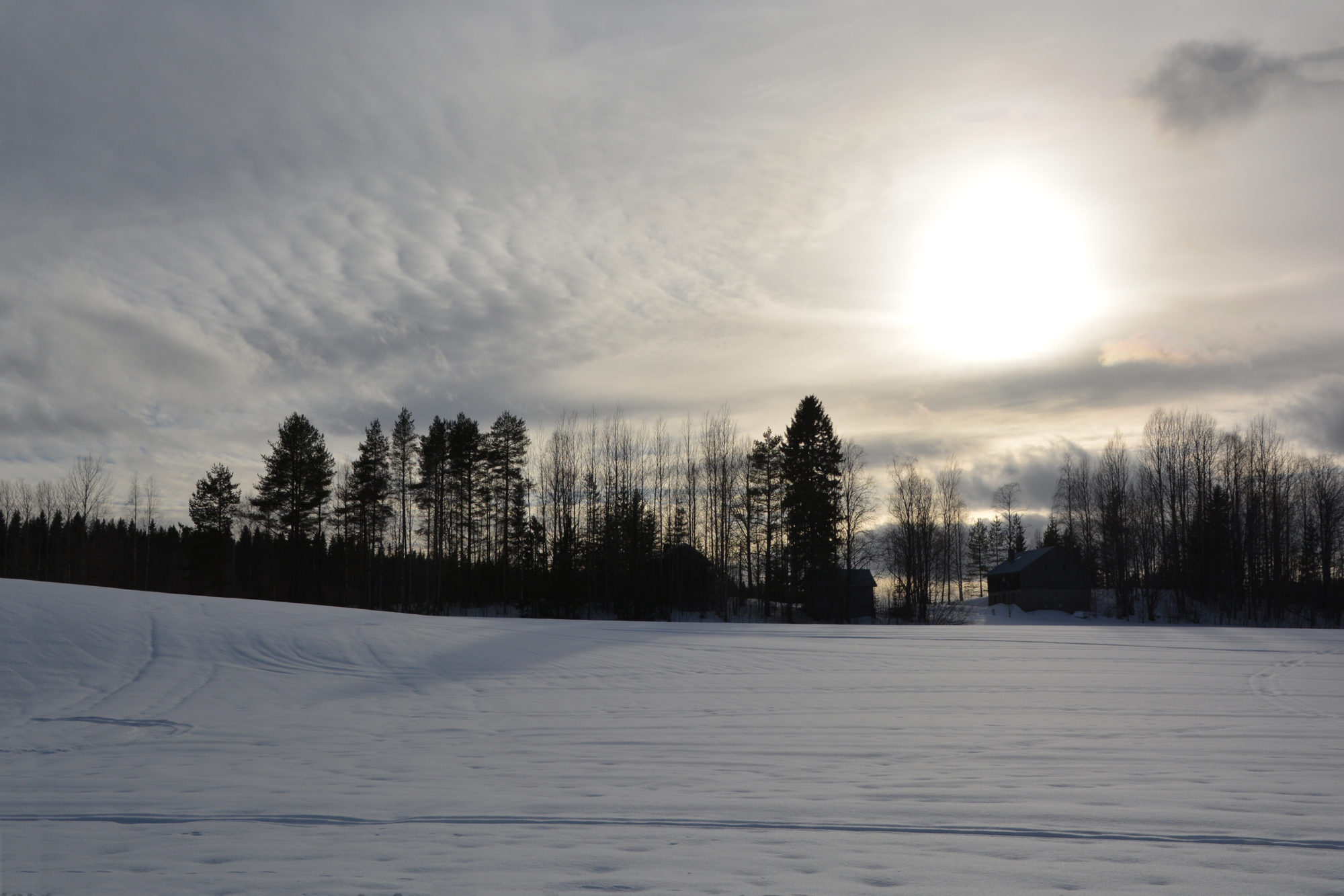 Valokuvaaja: Maija Savolainen