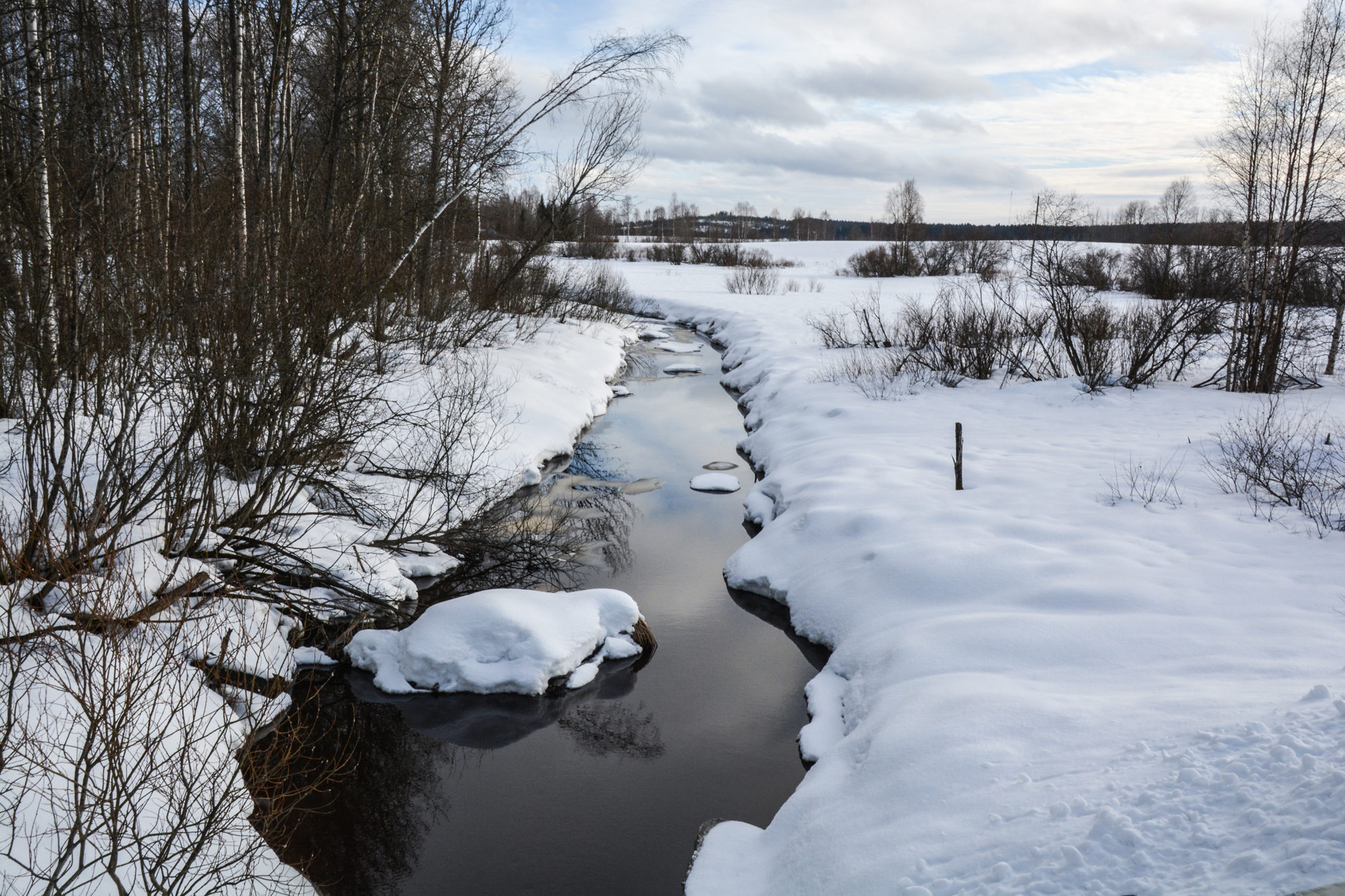 Valokuvaaja: Maija Savolainen