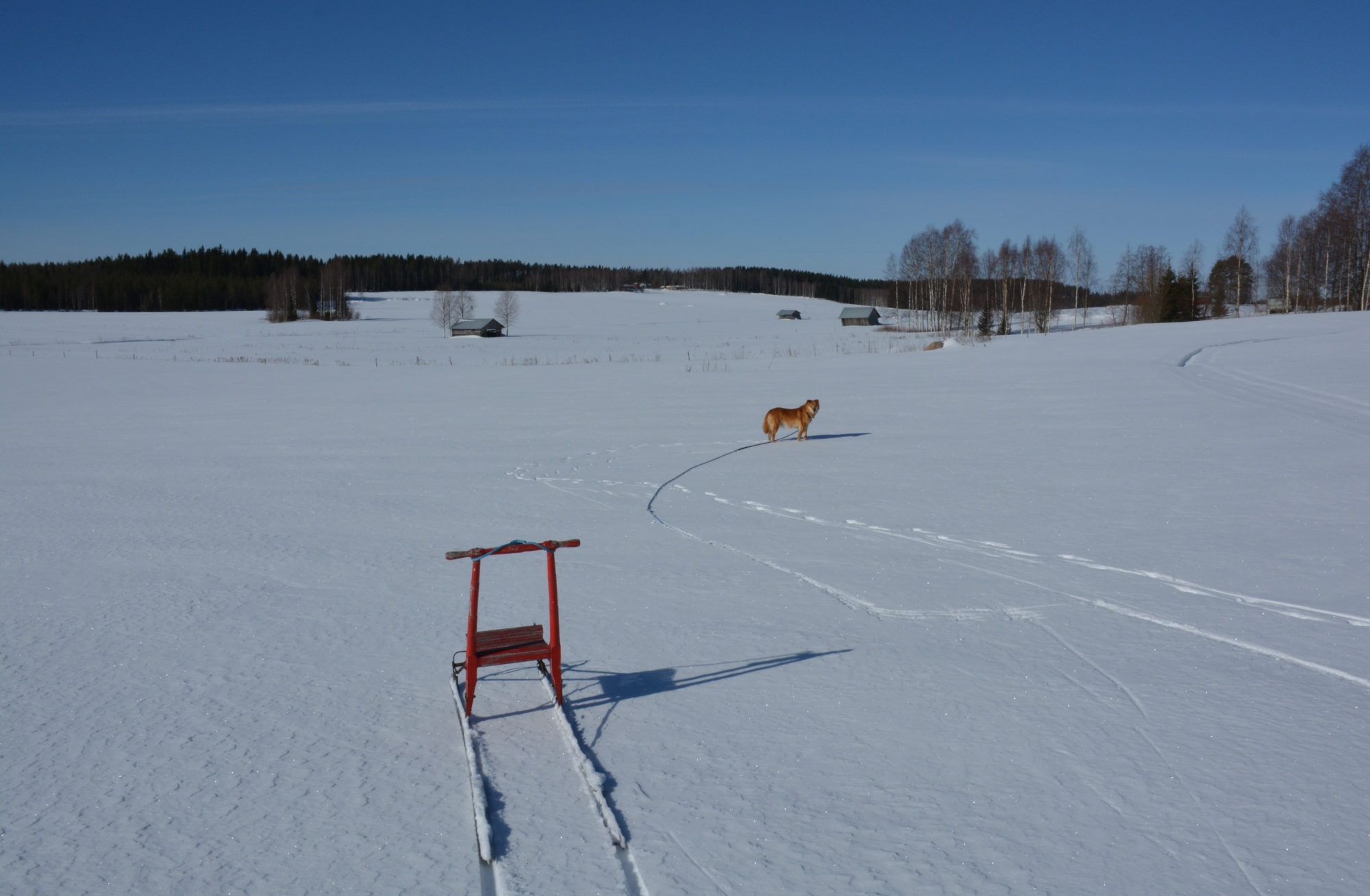 Valokuvaaja: Maija Savolainen