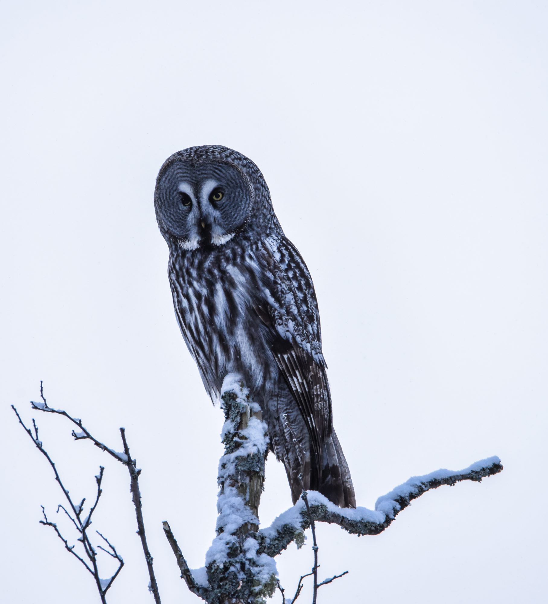 Valokuvaaja: Maija Savolainen