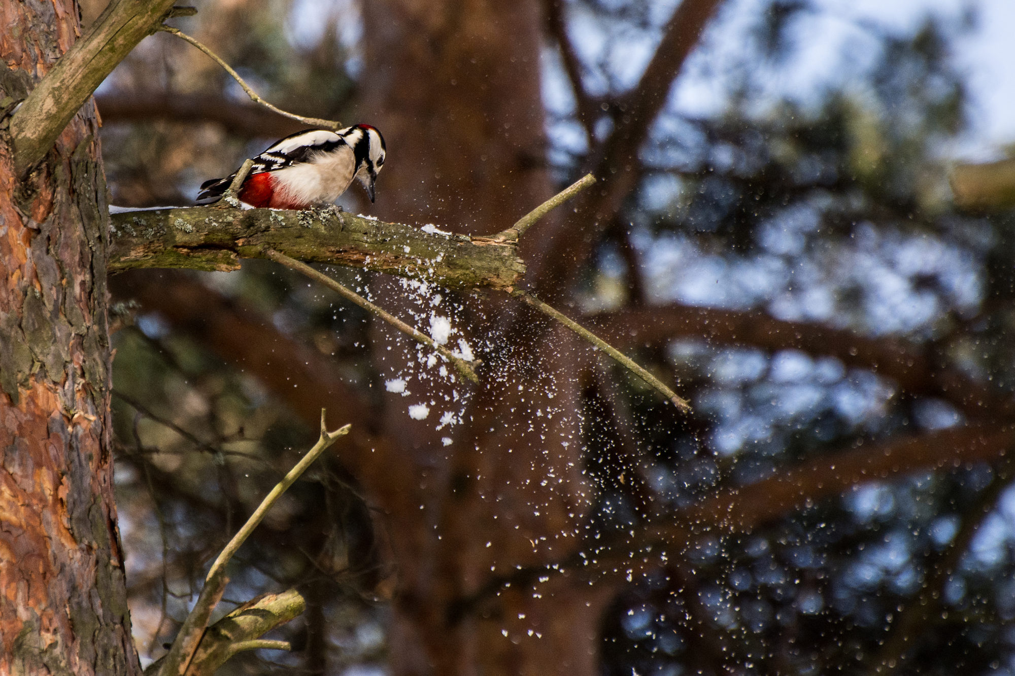 Valokuvaaja: Paavo Siukonen