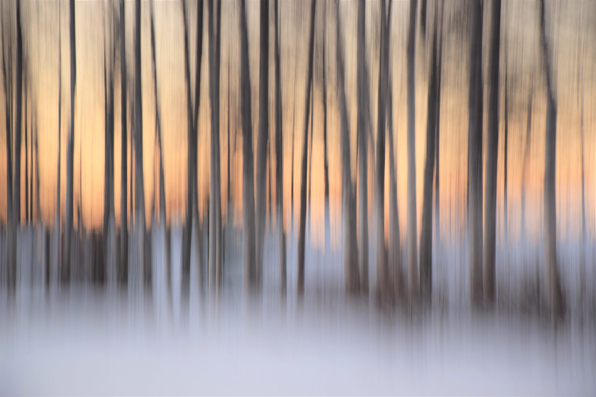 Valokuvaaja: Leena Rissanen