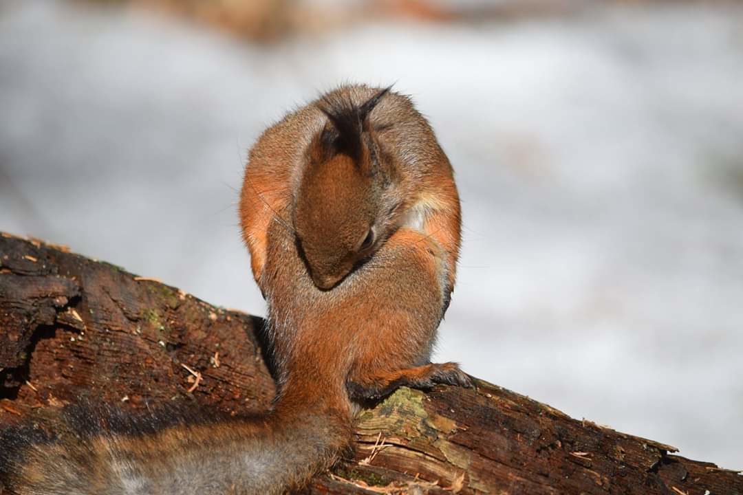 Valokuvaaja: Riitta Marjamäki