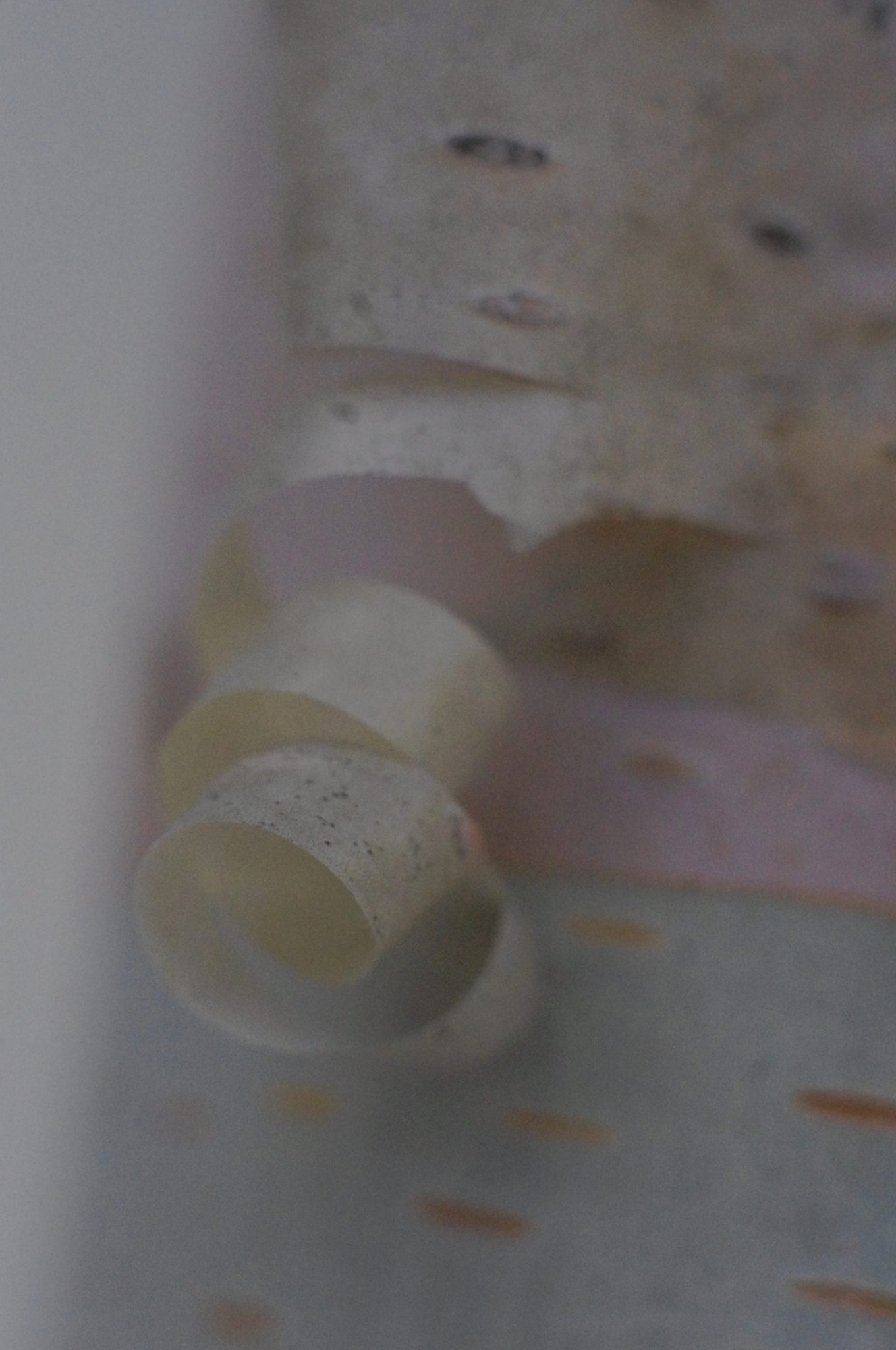 Valokuvaaja: Tiina Kylliäinen