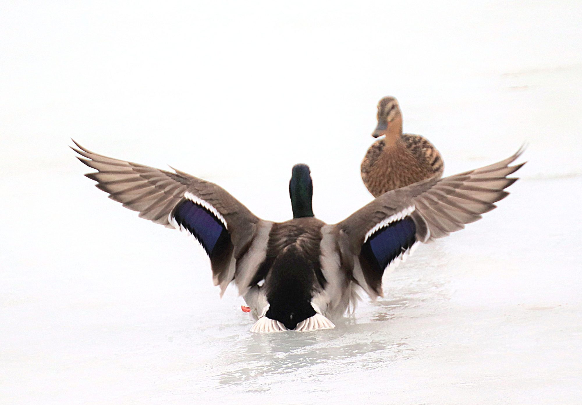 Valokuvaaja: Irja Lehtinen
