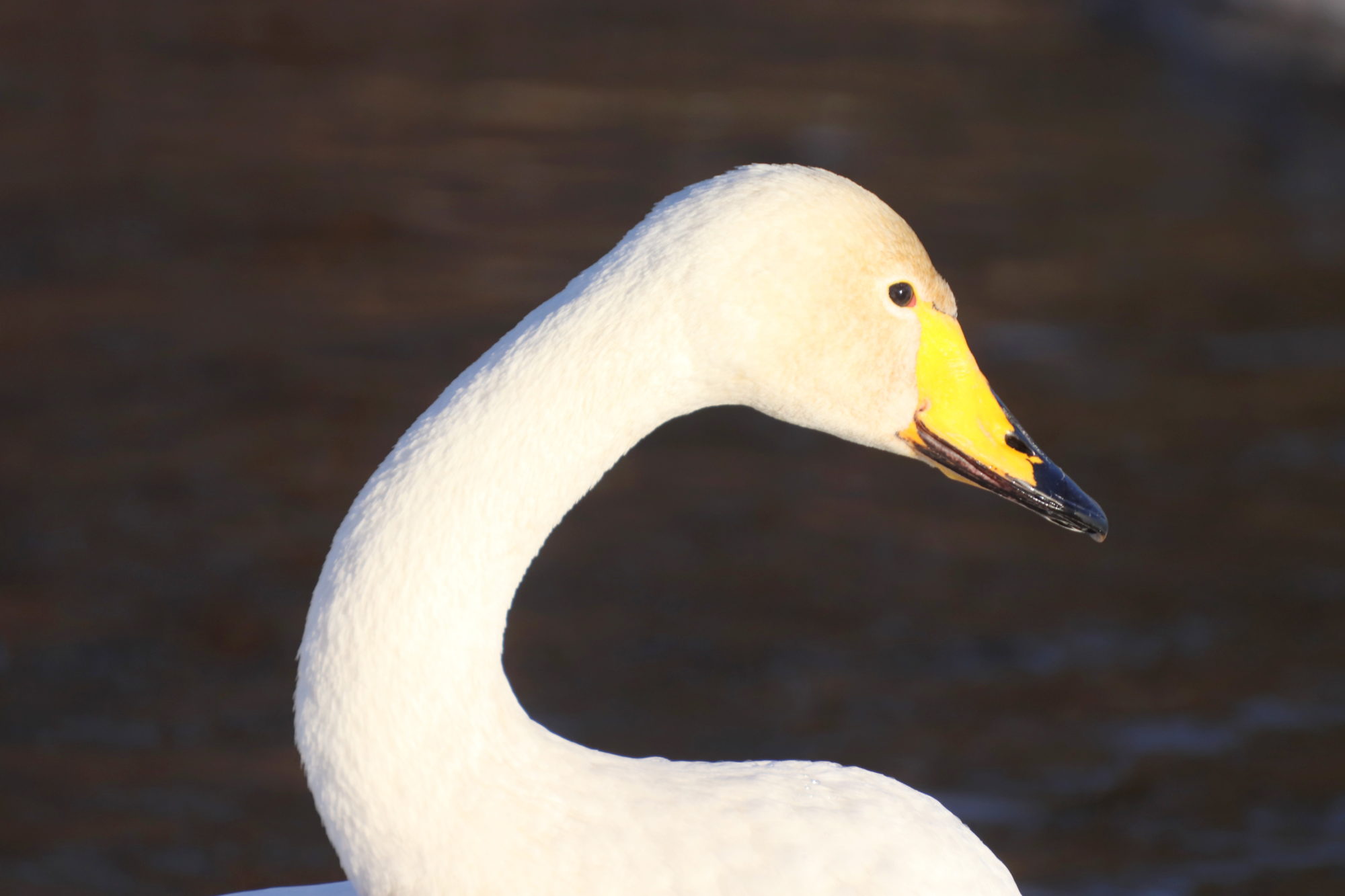 Valokuvaaja: Irja Lehtinen